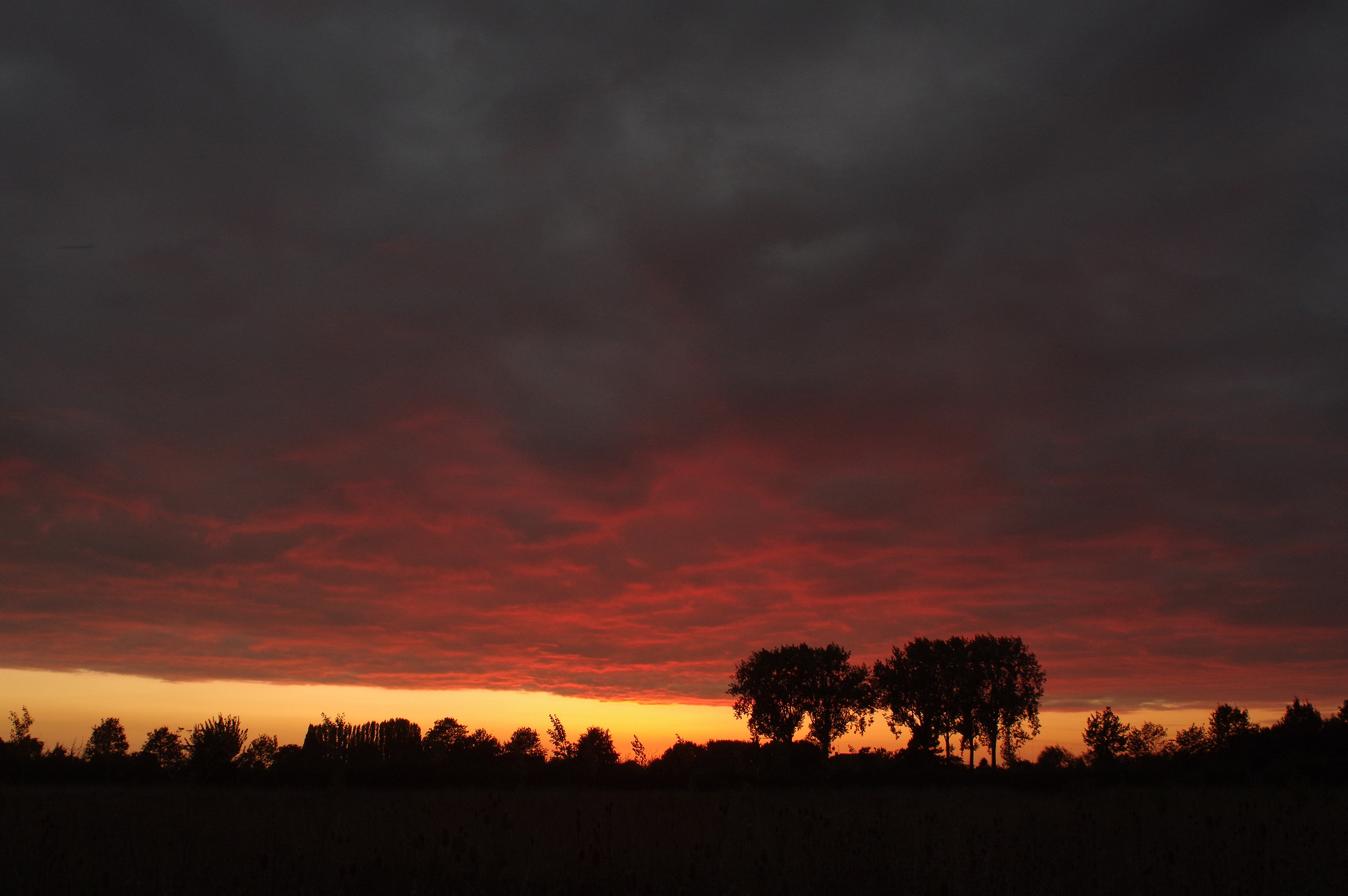 Panagor 24mm f / 2.5