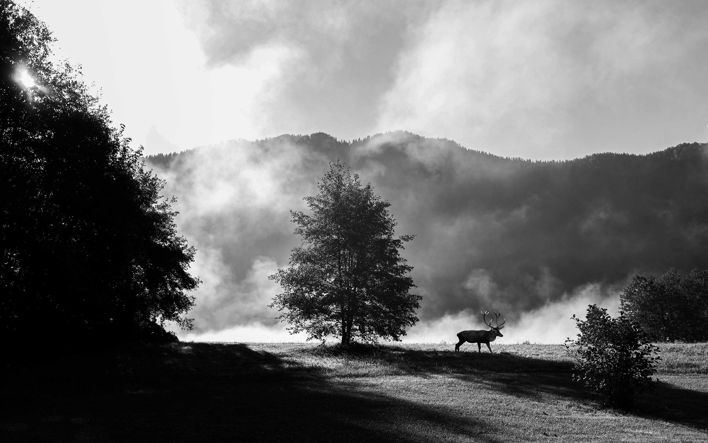 La montagna che immagino....
