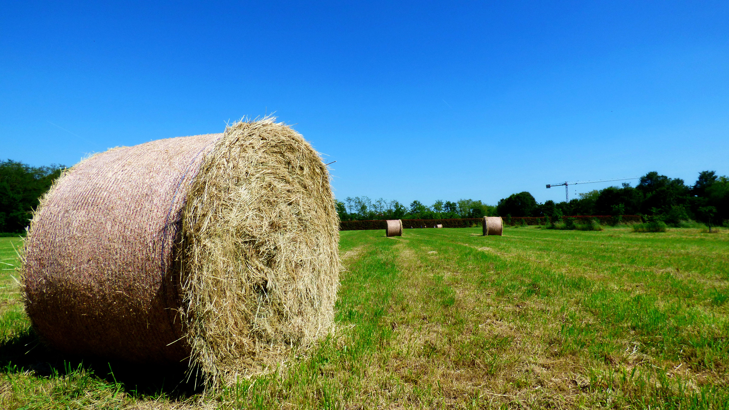 bales of hay ... and clean air!