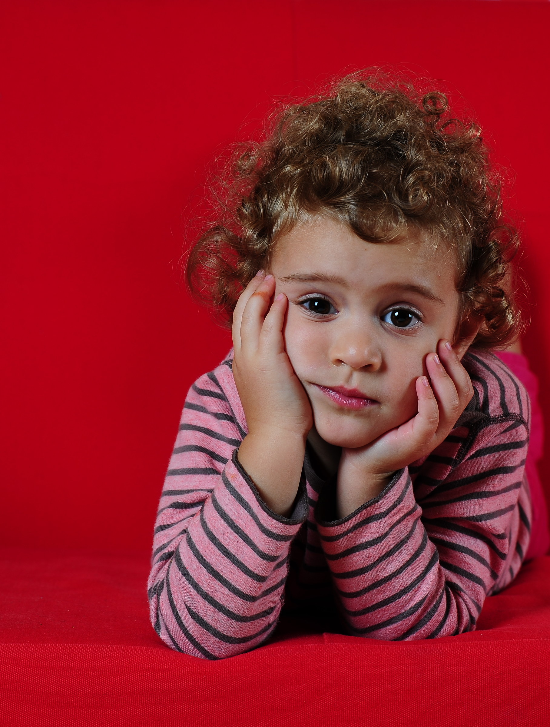 prime prove flash studio2