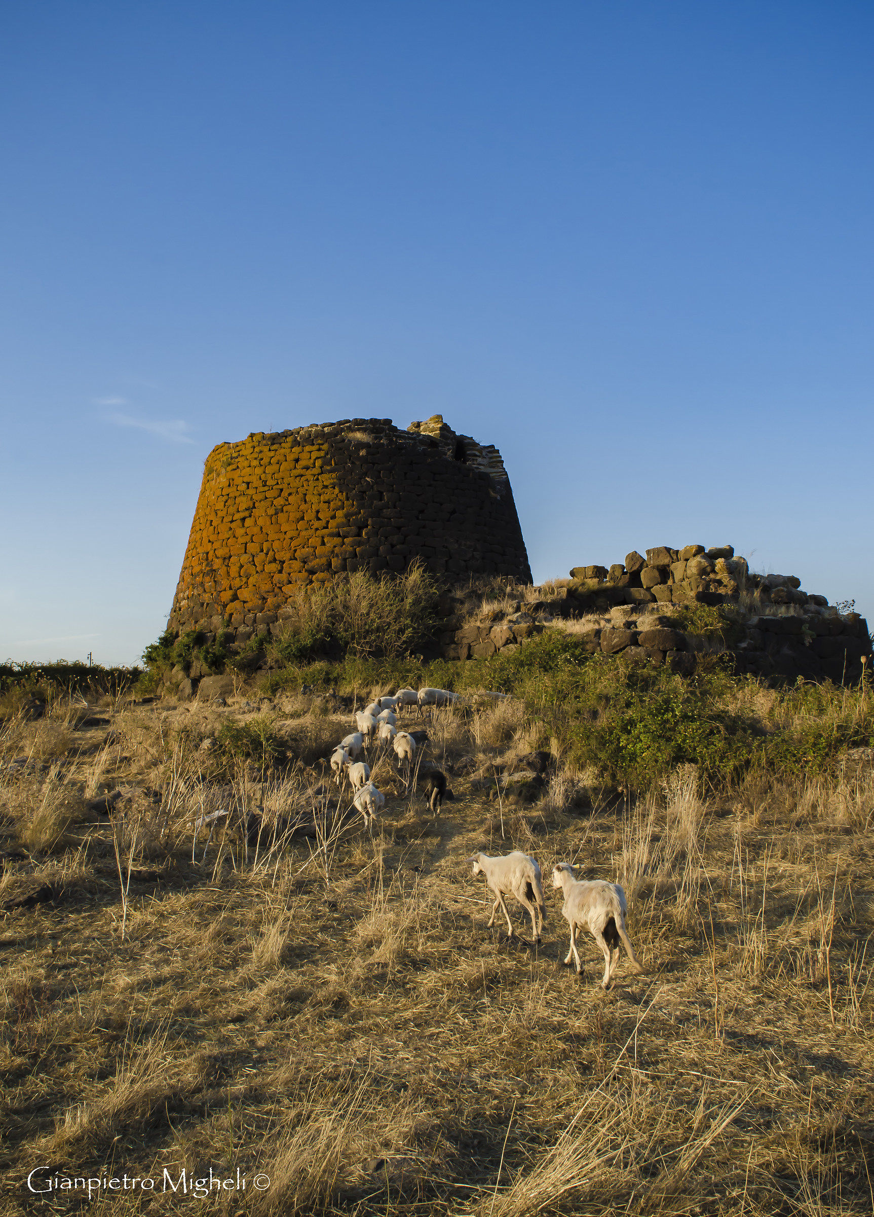Nuraghe Oes