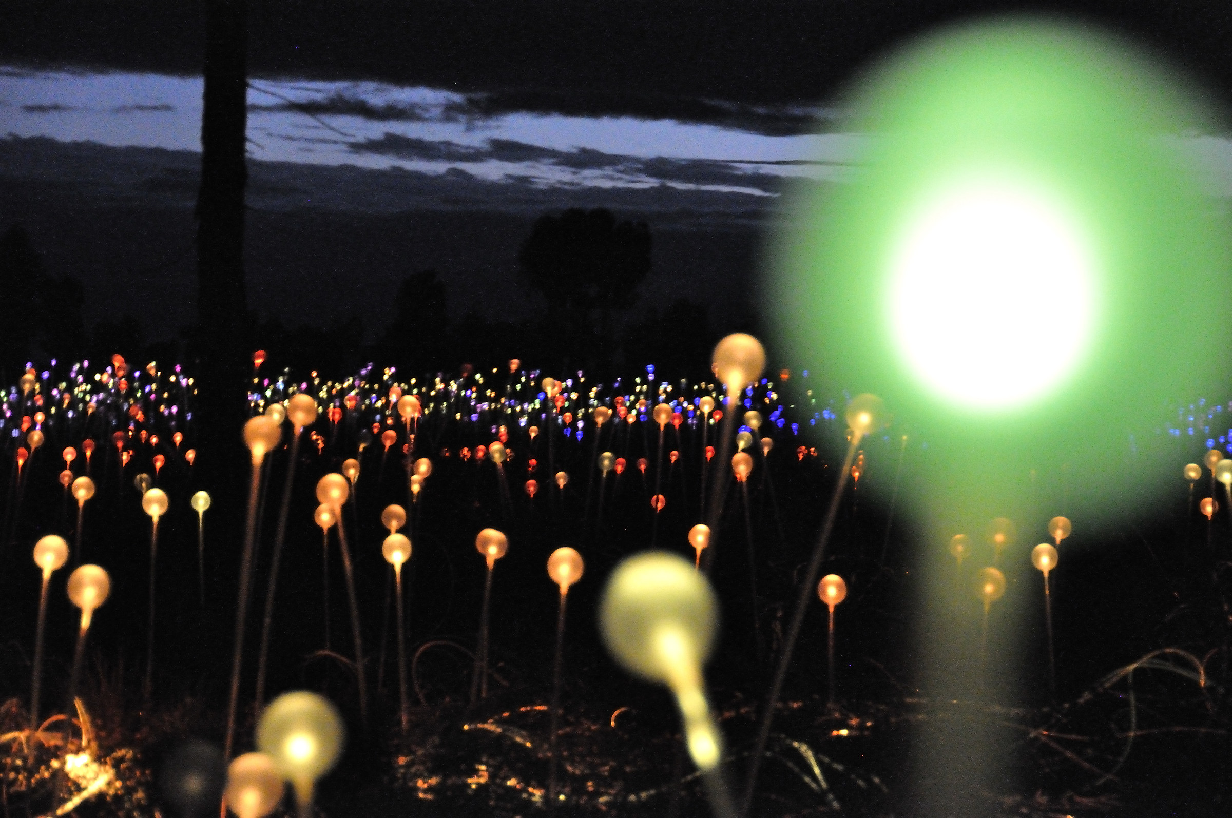 field of light