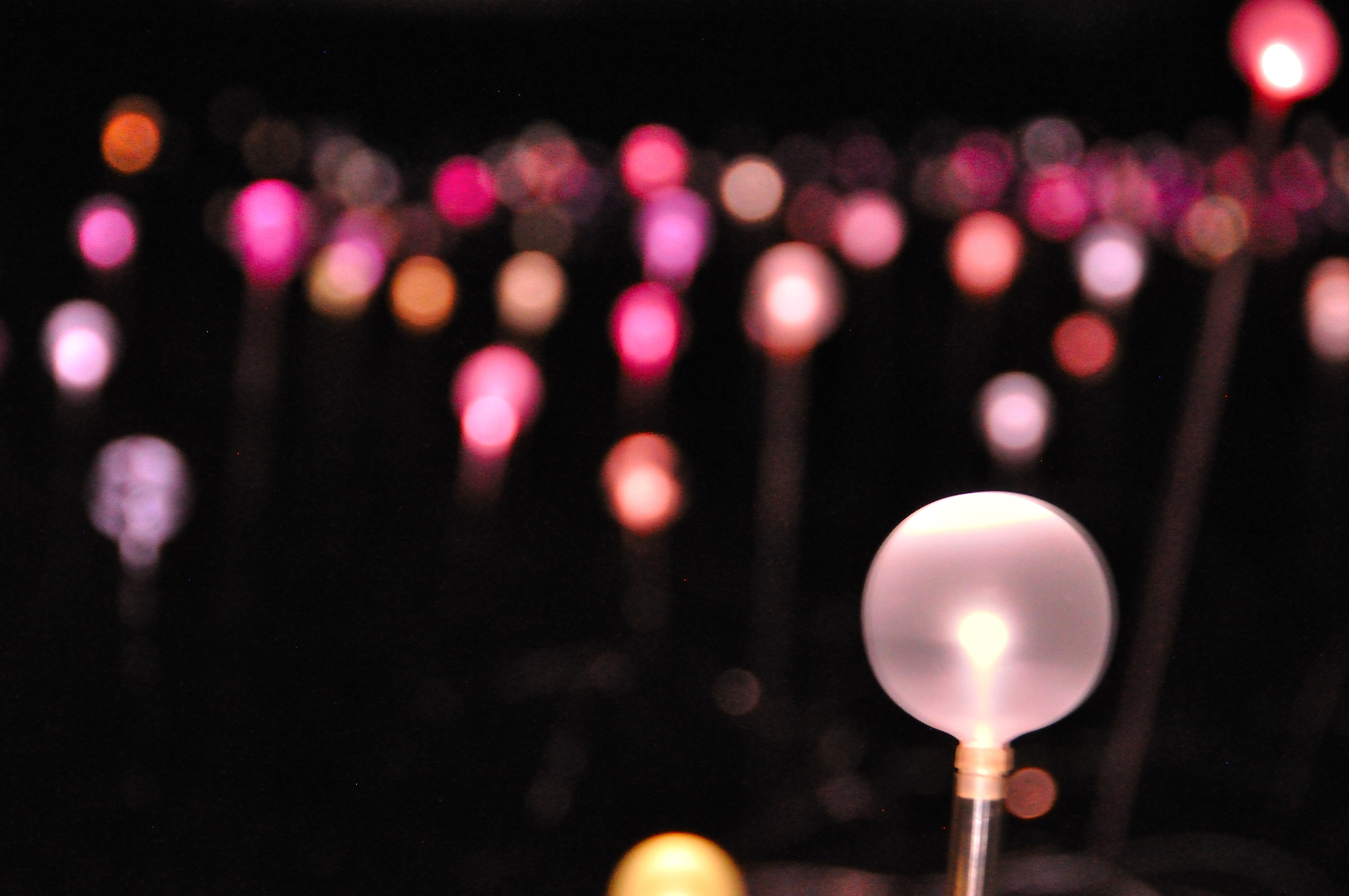 field of light uluru B.Munro