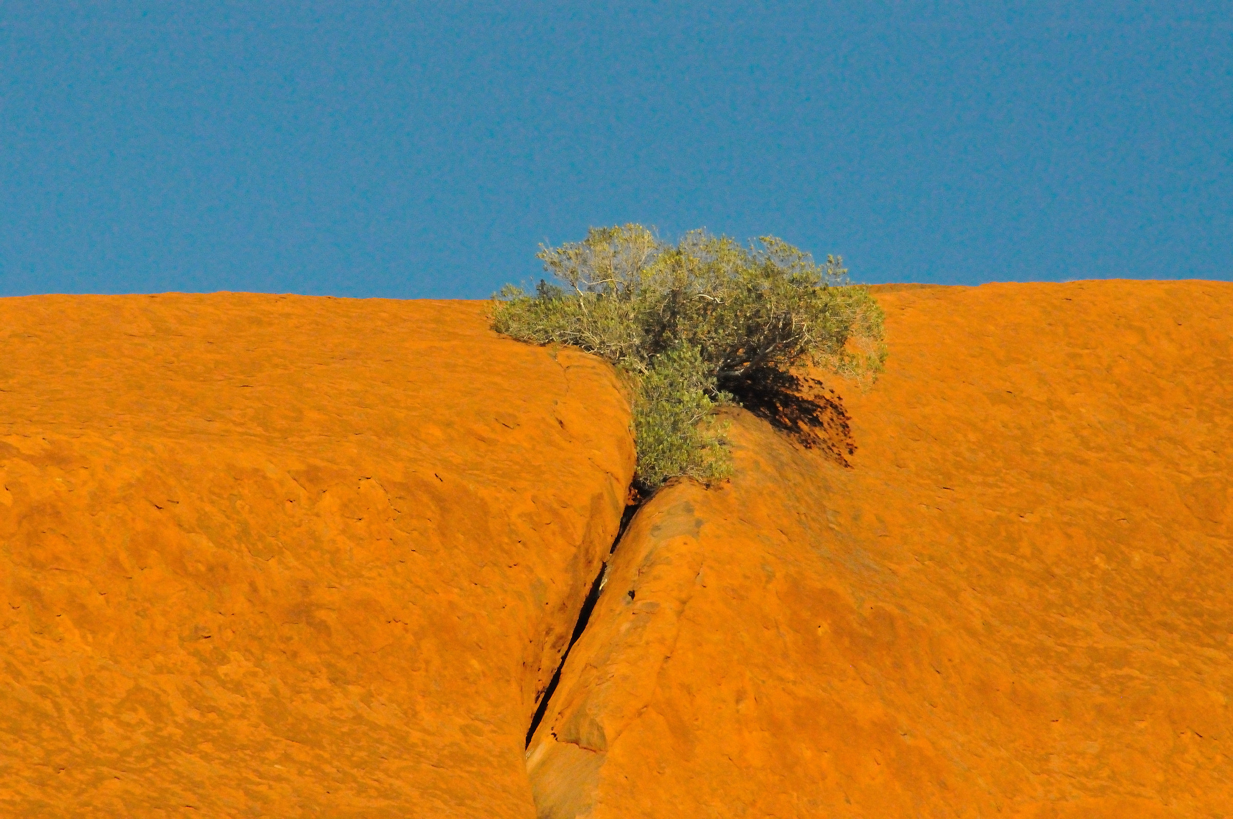uluru