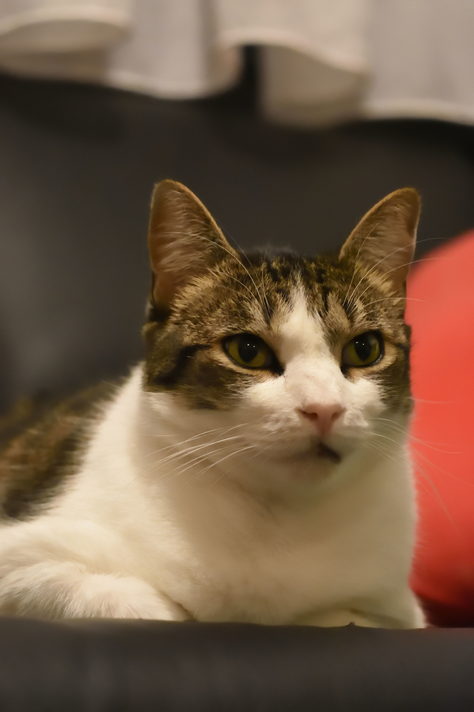 ... And his antagonist