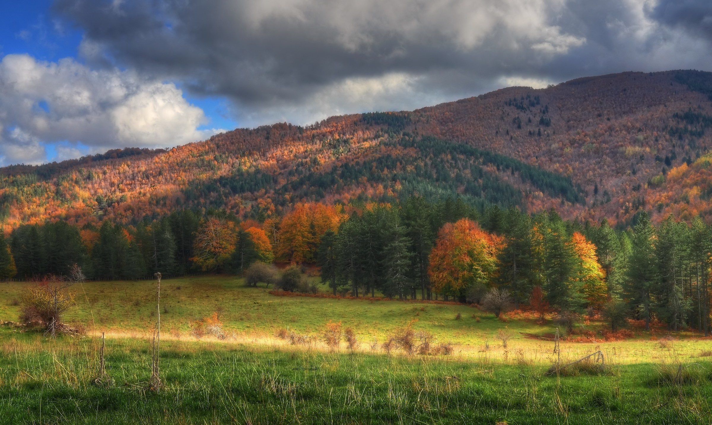 The colors of the Sila