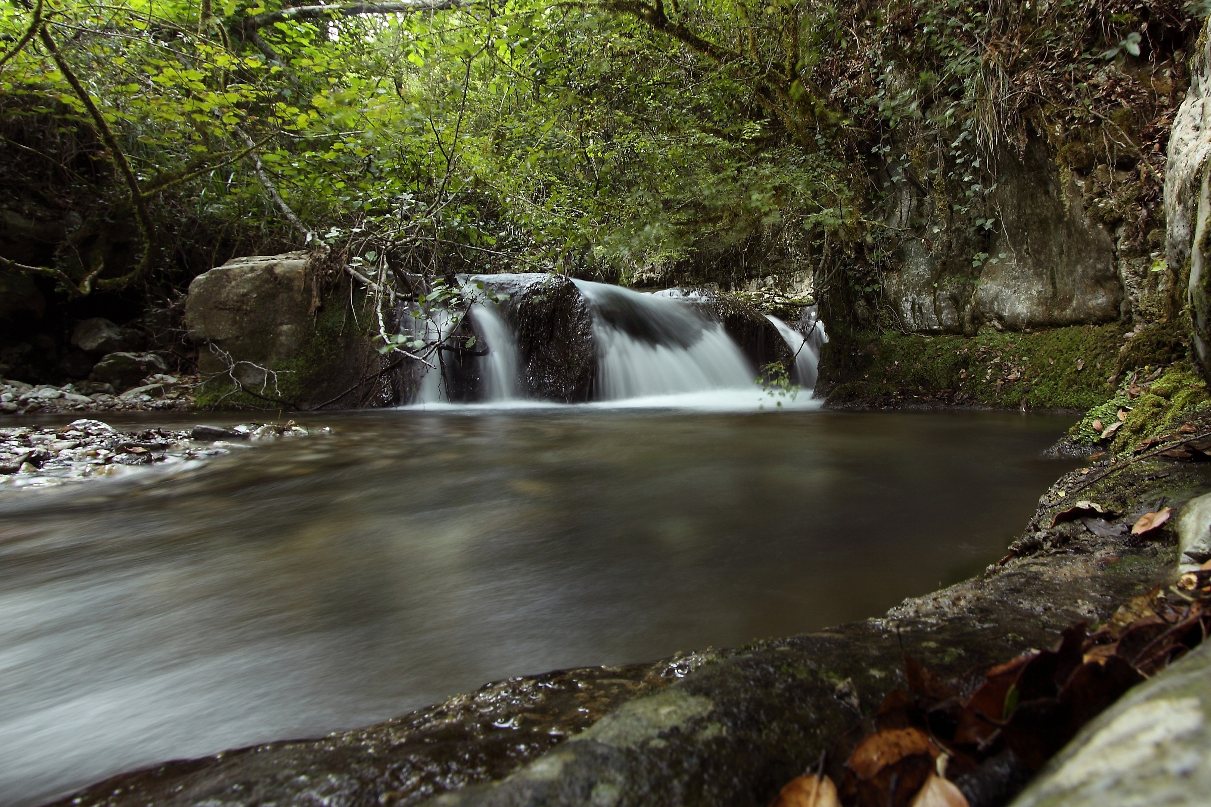 Fiume Bussento, nell'Oasi wwf più importante d...