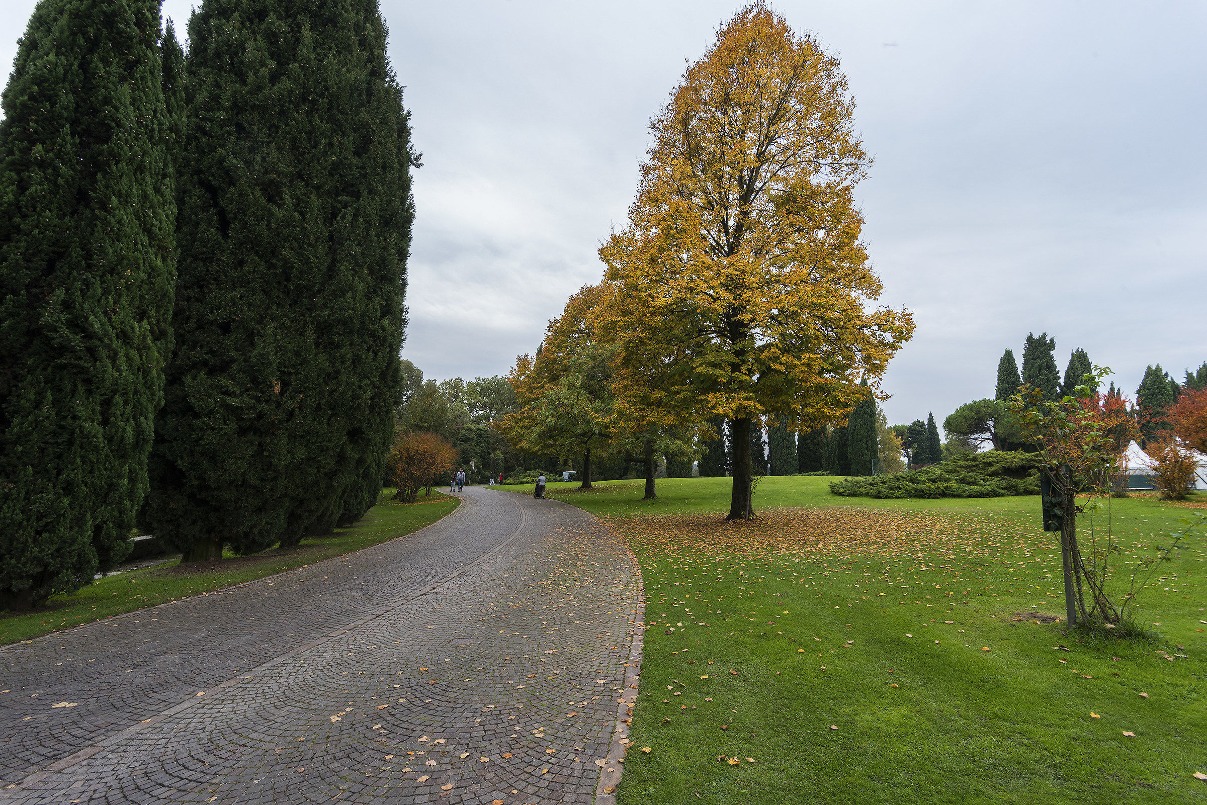 Autumn at the park Sicurtà