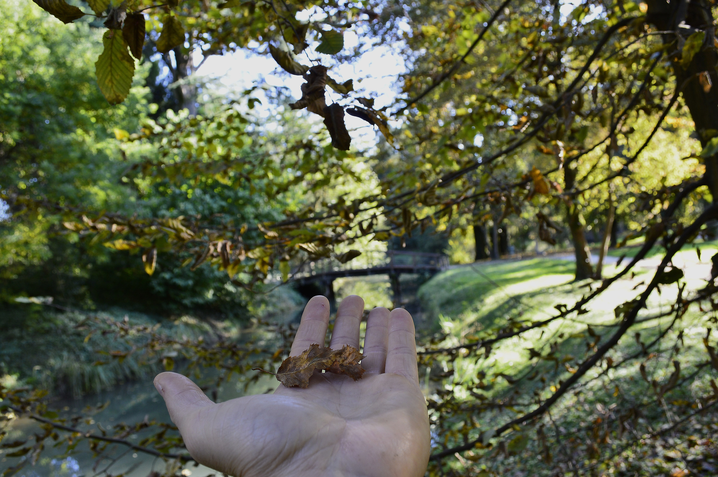 I know you'll come back