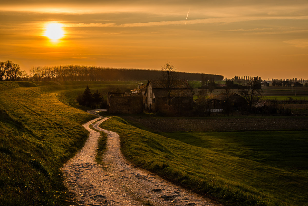 A warm winter sunset