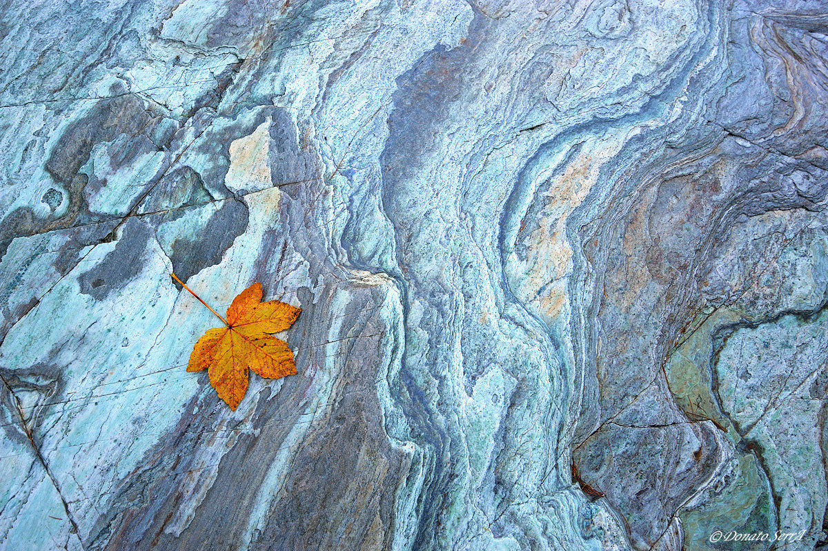 Autumn in the Po Valley 1