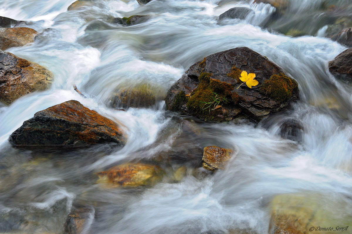 Autumn in the Valley Po 2