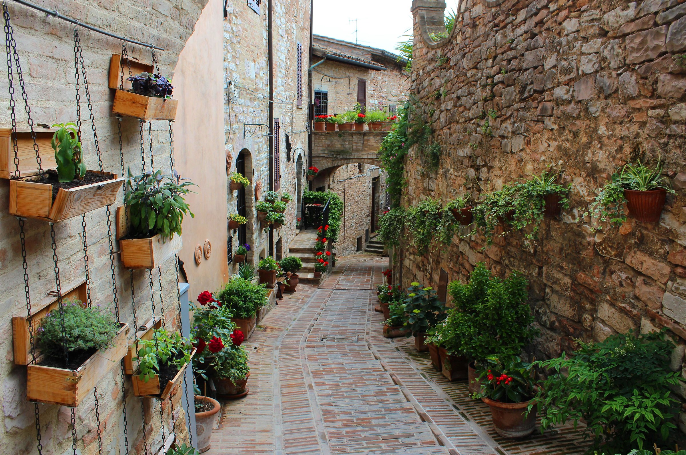 spello flourished