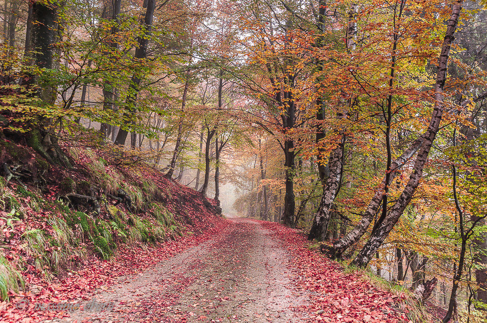autunno in forcora