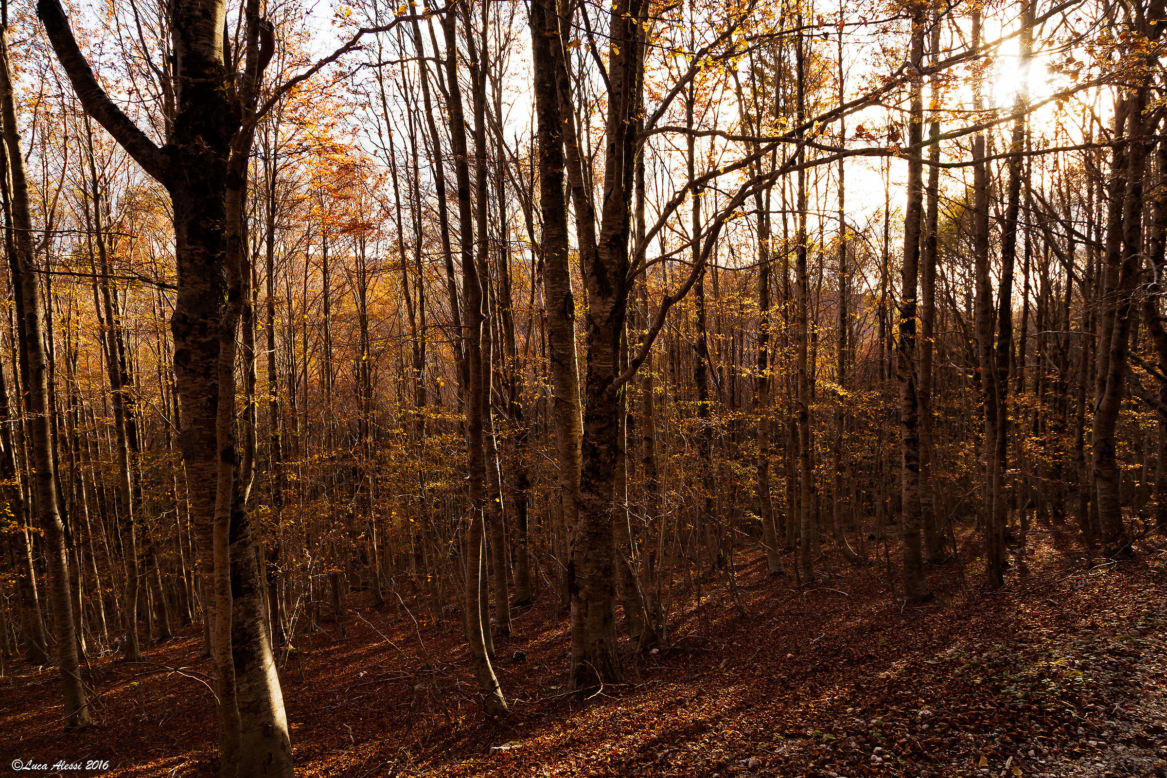Silenzio luce pace colore