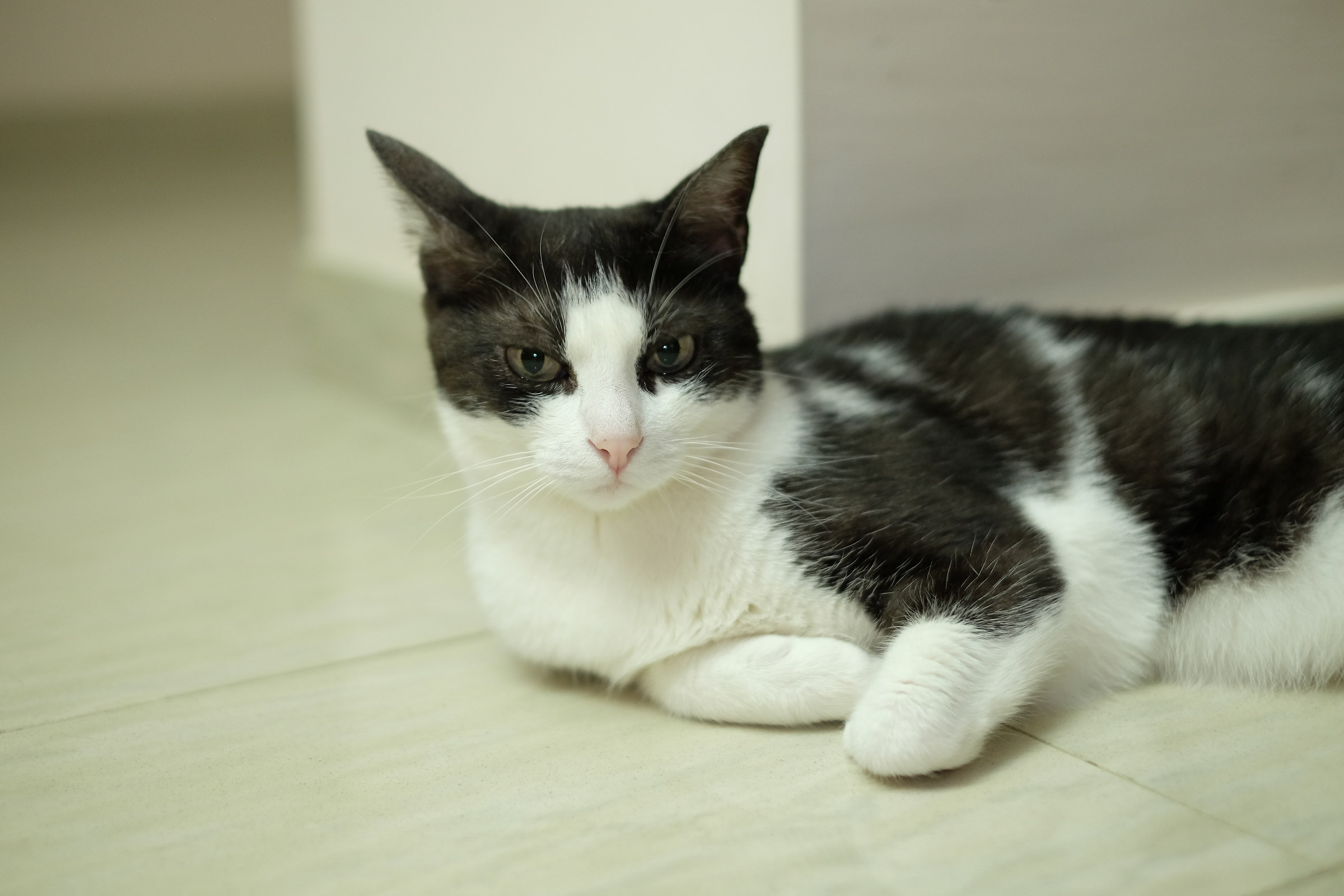 Mina! ... In name and in fact.