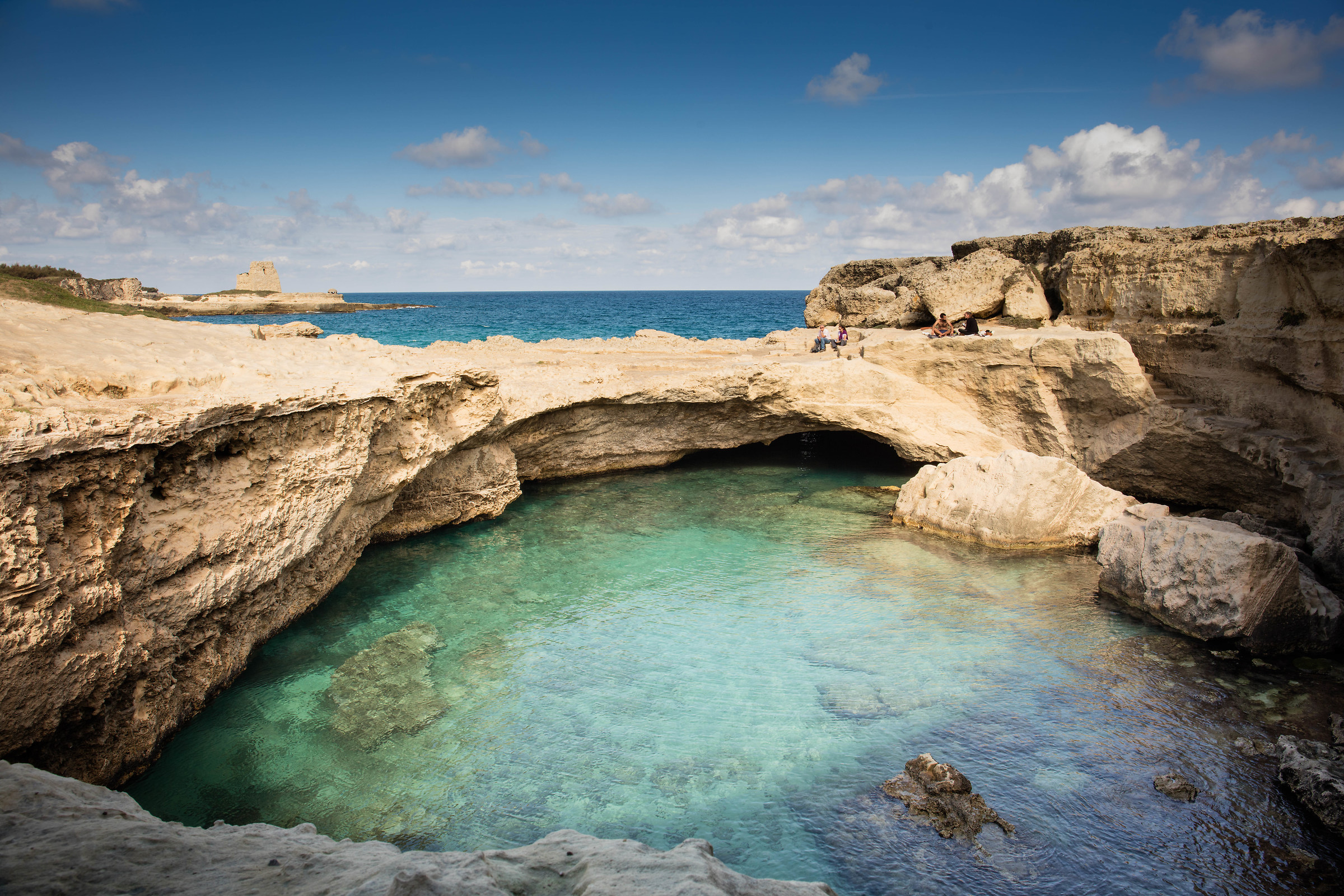 natural swimming pool