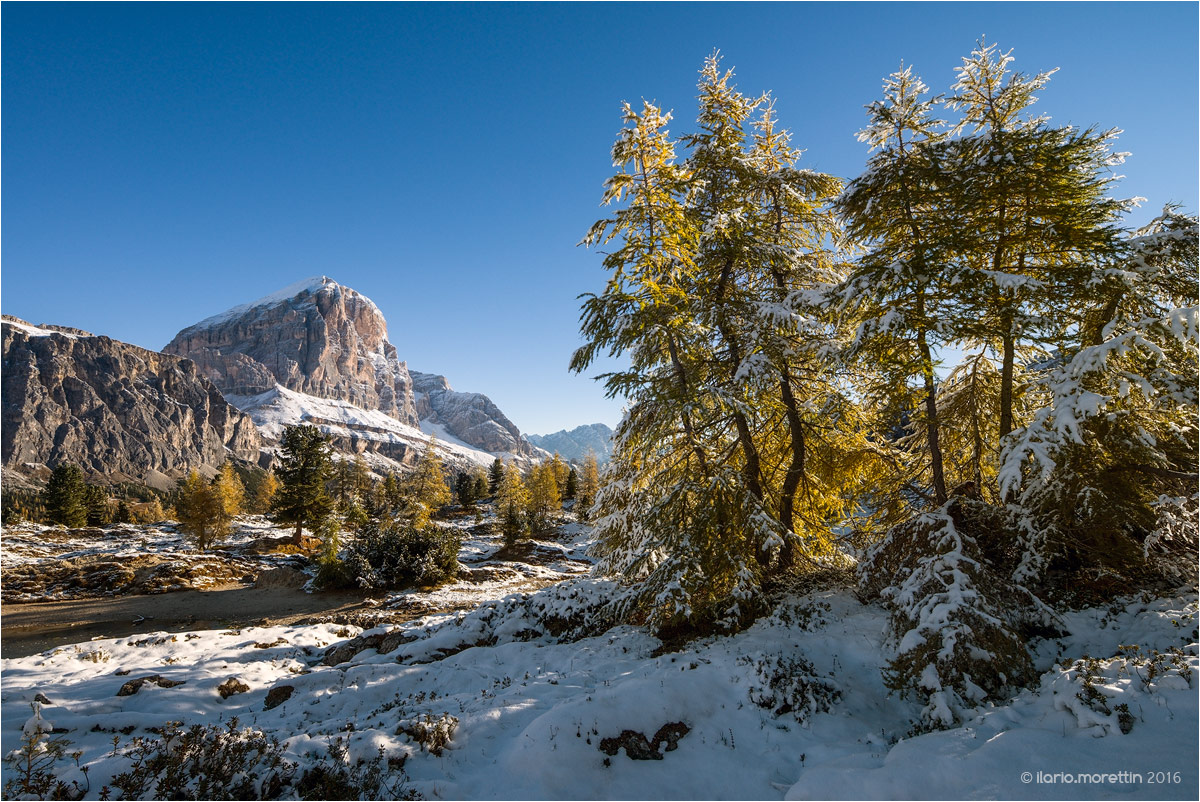 Prima neve al Limedes