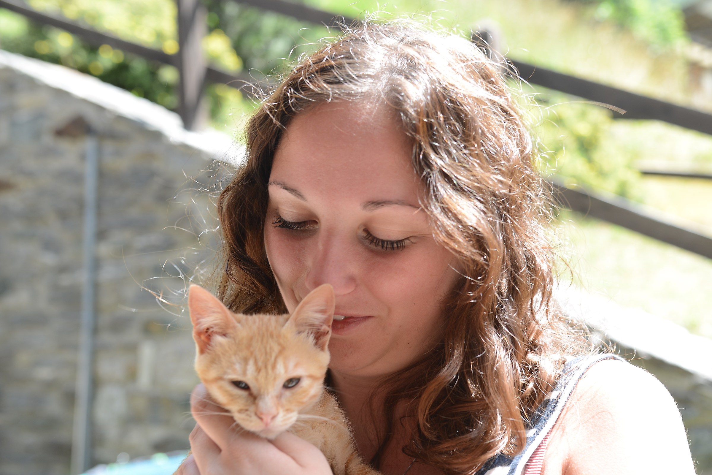 and 'it got a new kitten ...