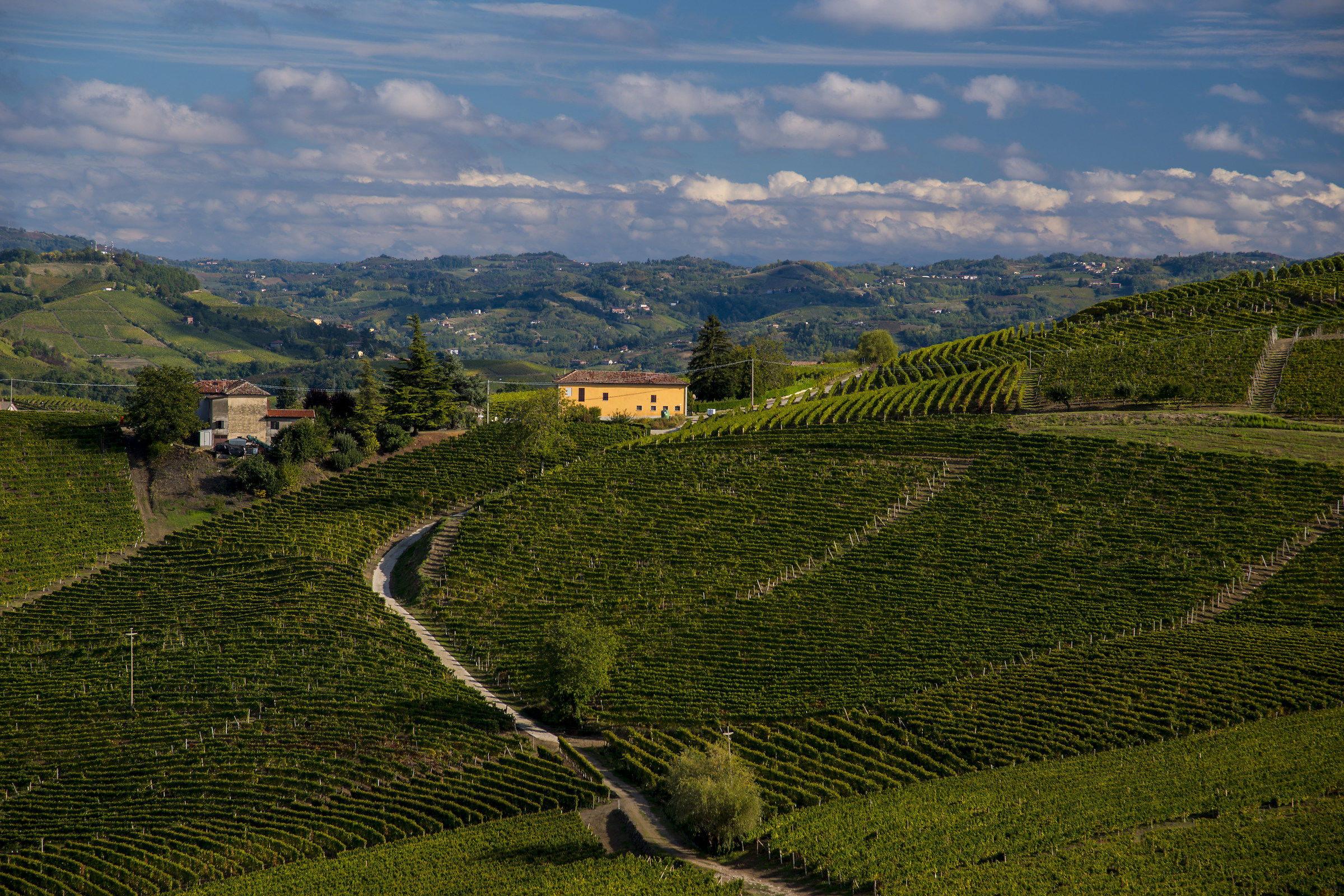 Saluti dalle Langhe!