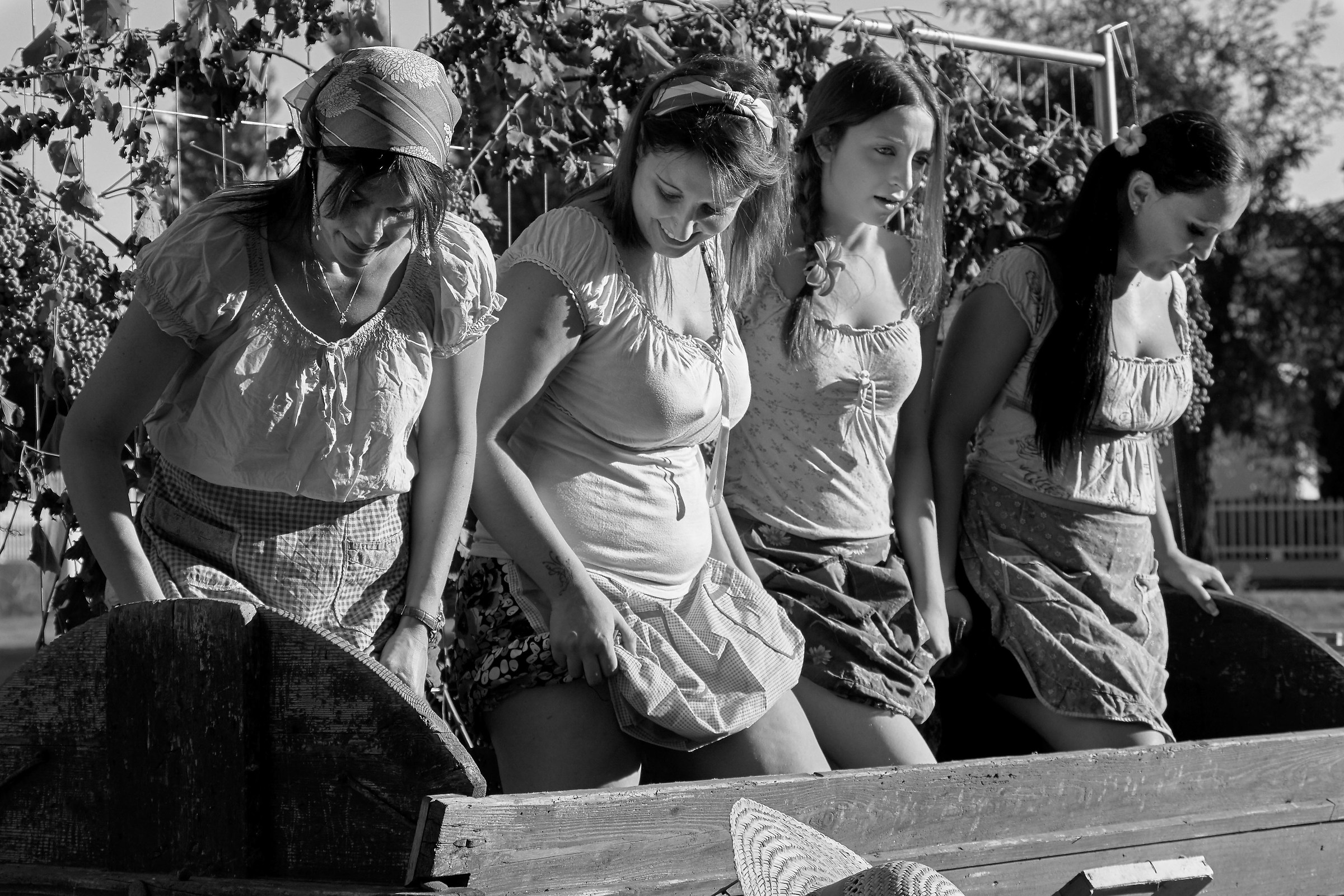 The crushing of grapes 2