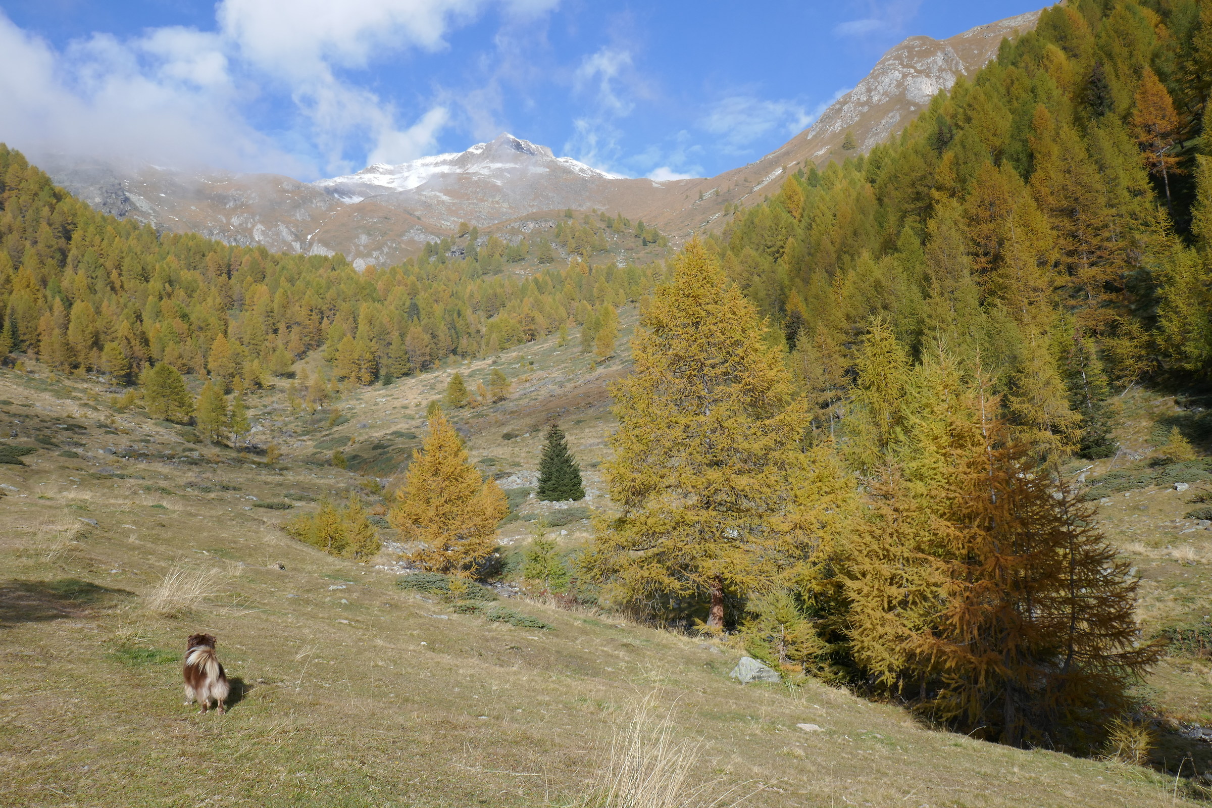 Autumn in Strino Valley (Tn)