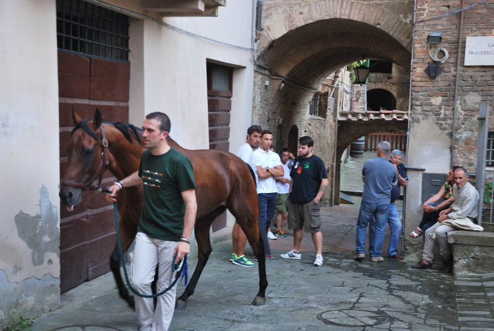 THE preparation of the race