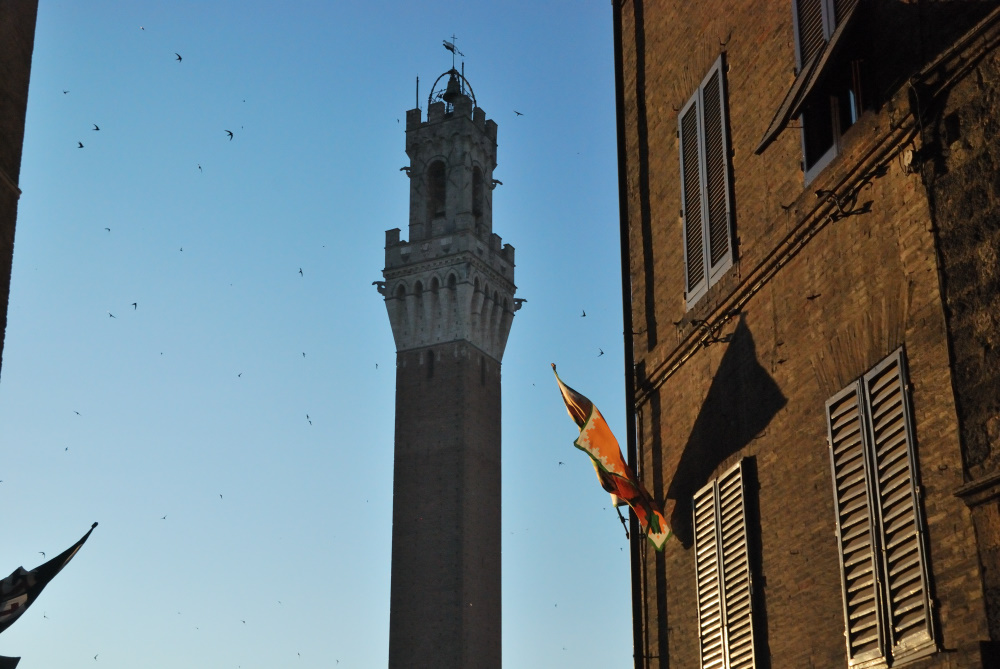 The Tower of the Square