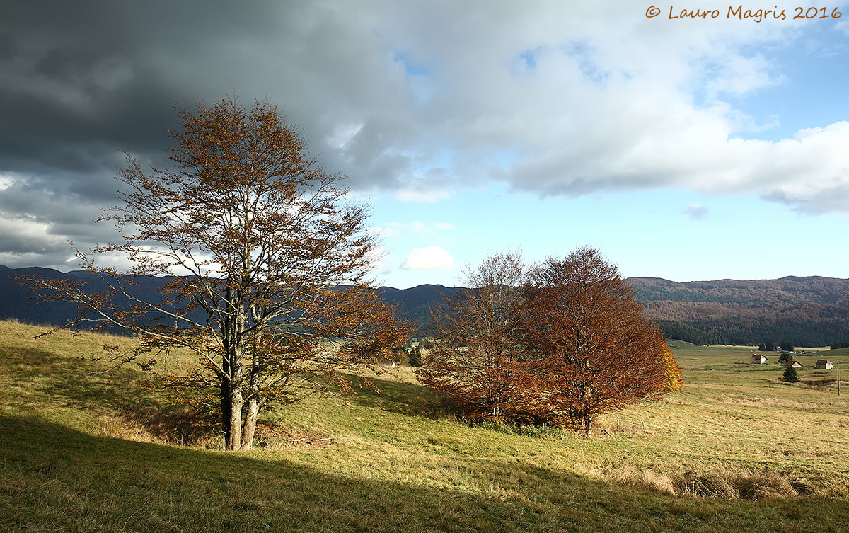 Pastures and clouds