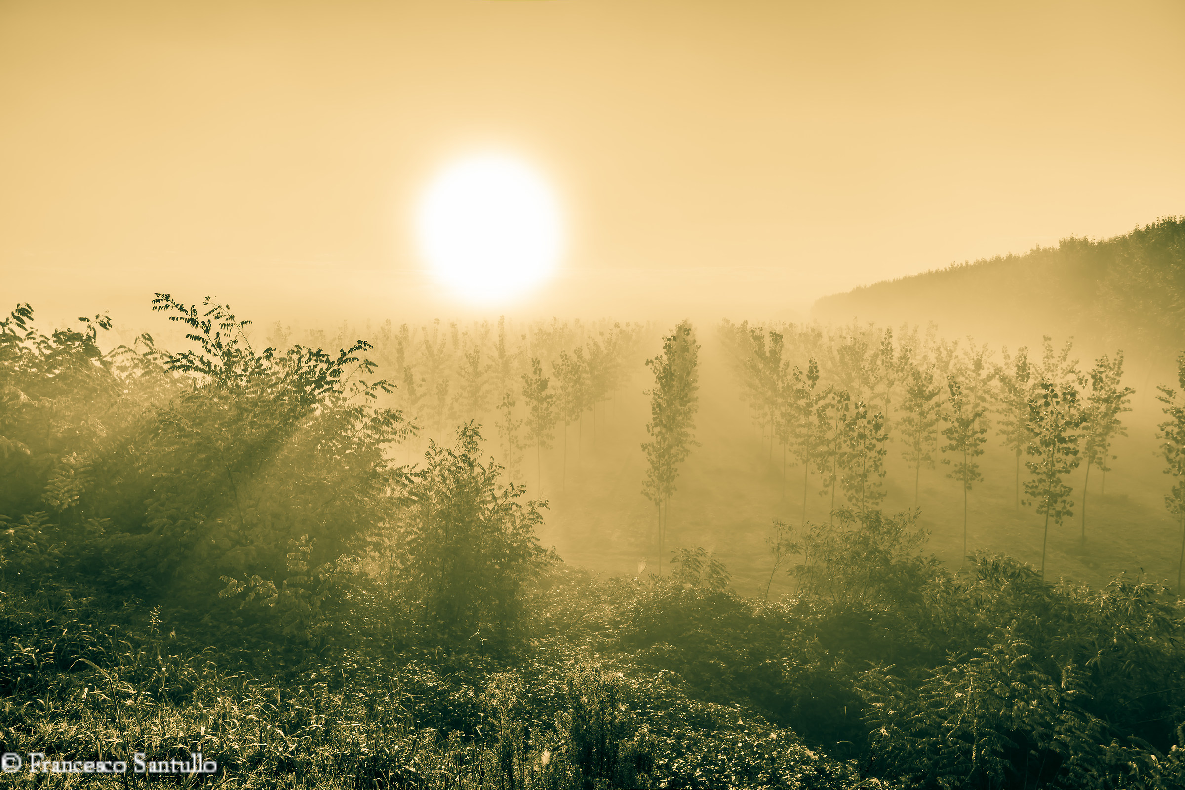 the power of the sun