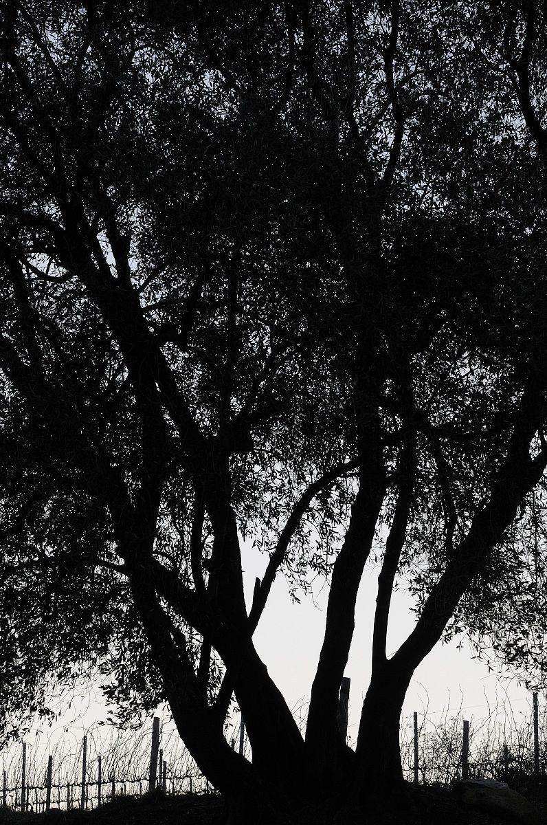 quello che resta del giorno