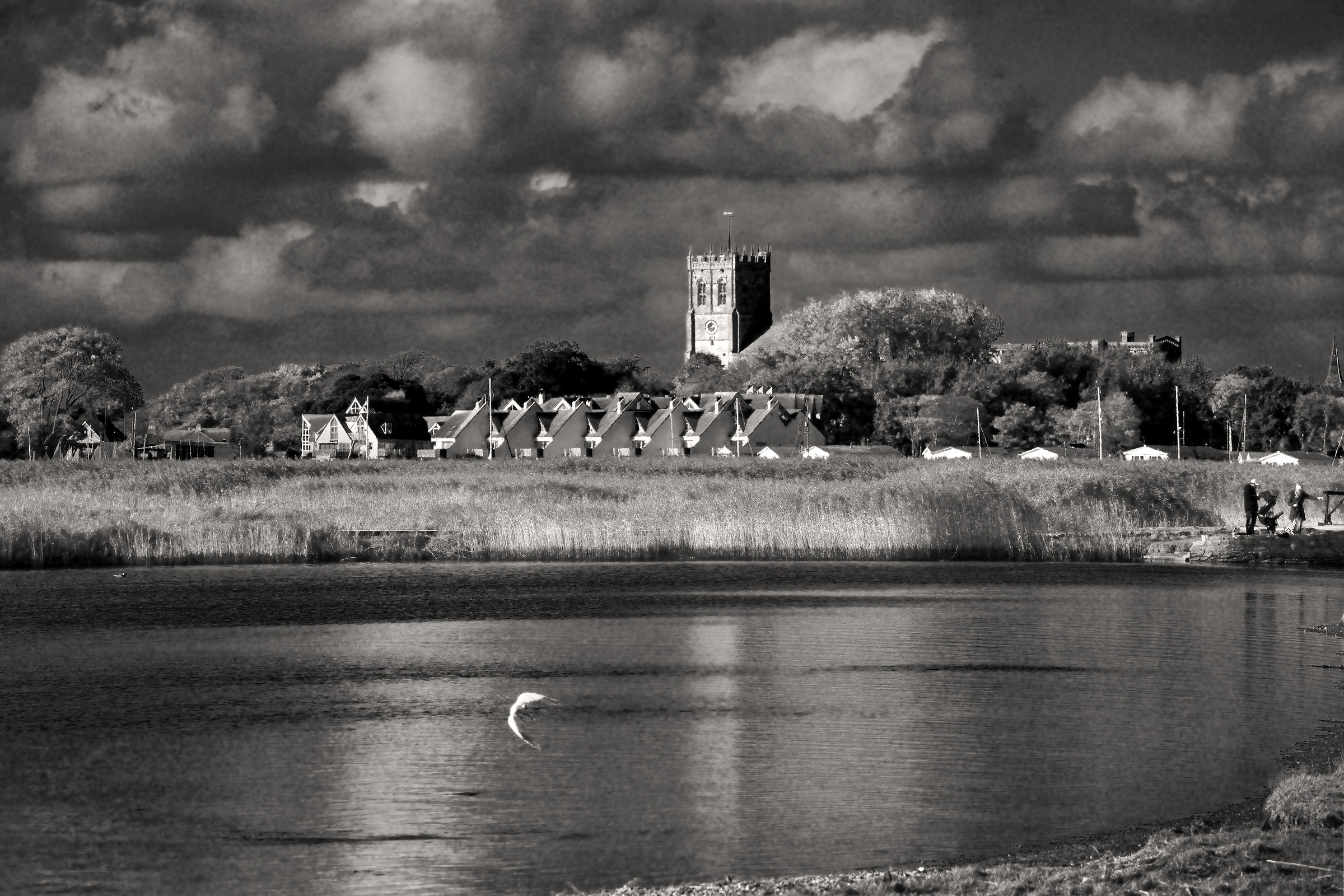 The Egret, The Priory and the Family Fishing