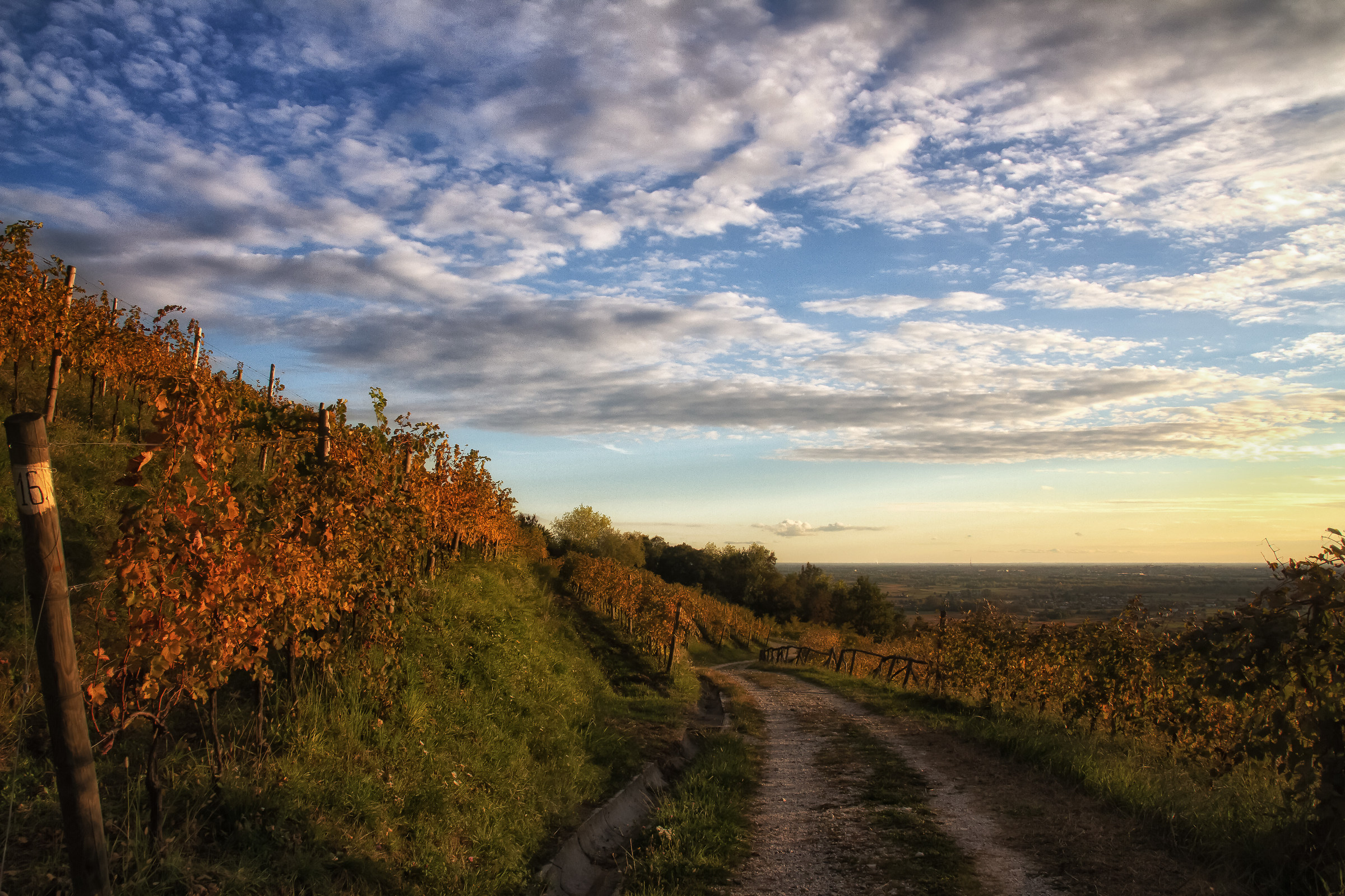 Sguardo verso il piano versione Hdr