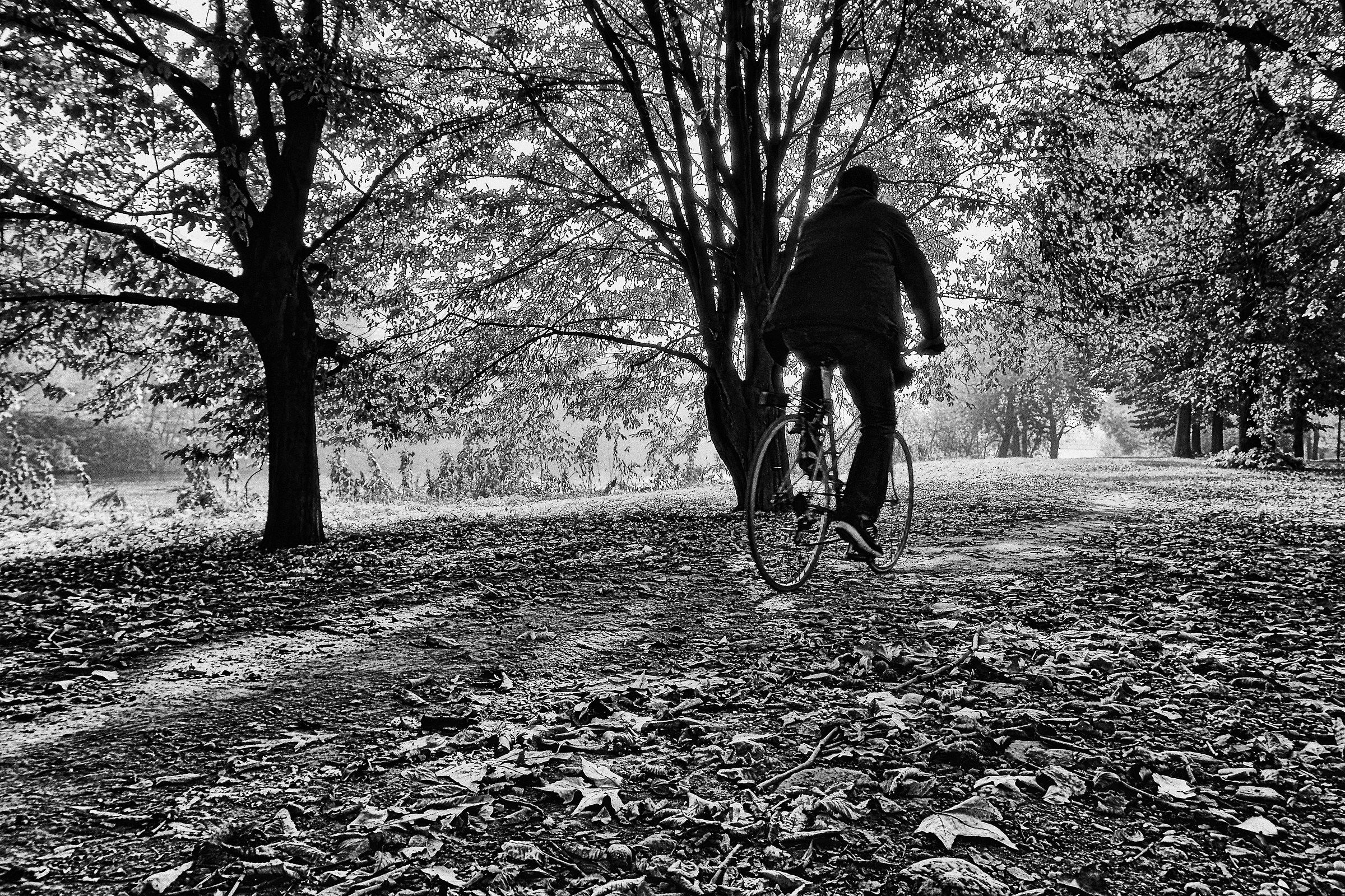 Towards the Autumn light