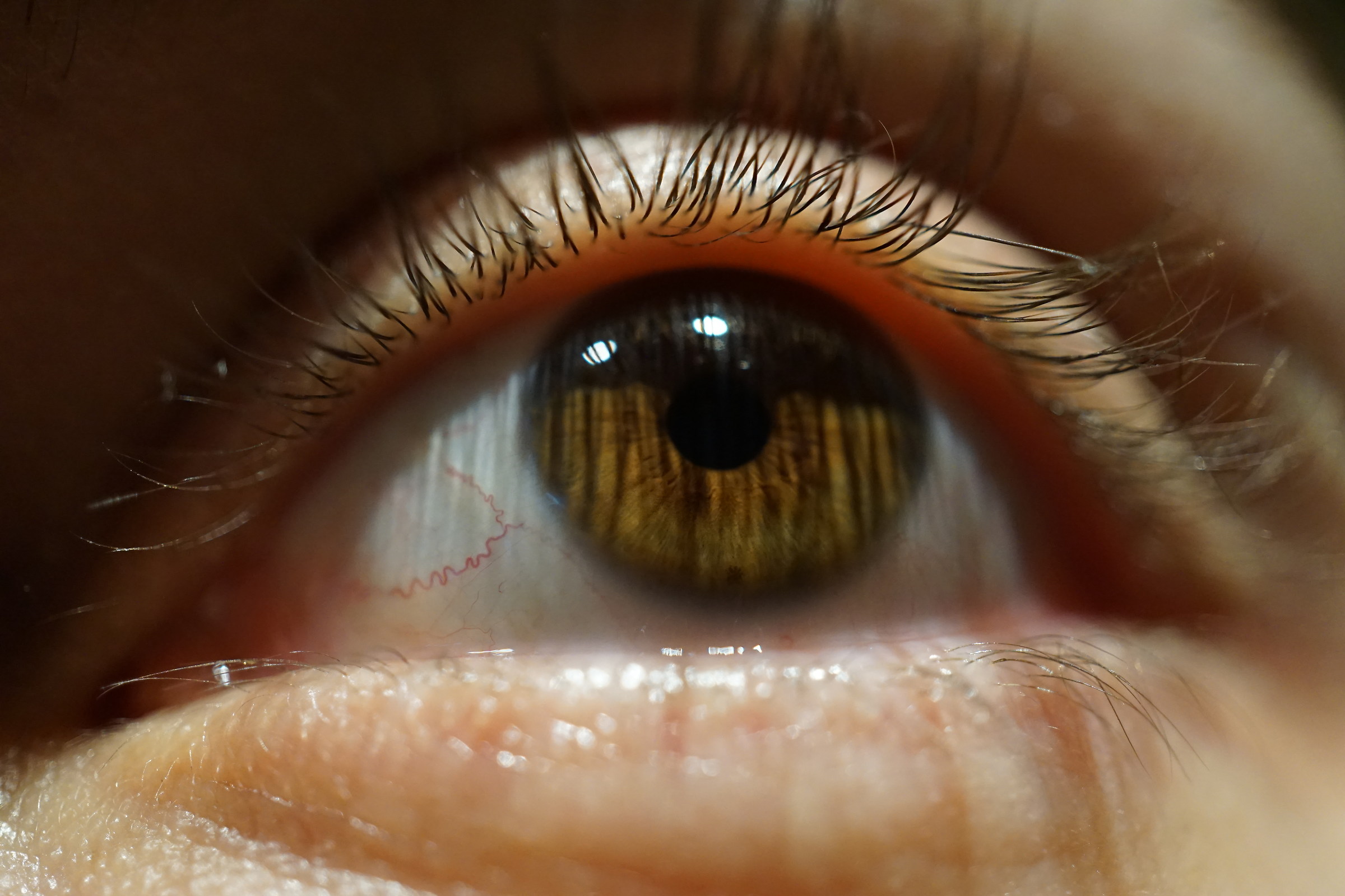 Negli occhi... il mondo!