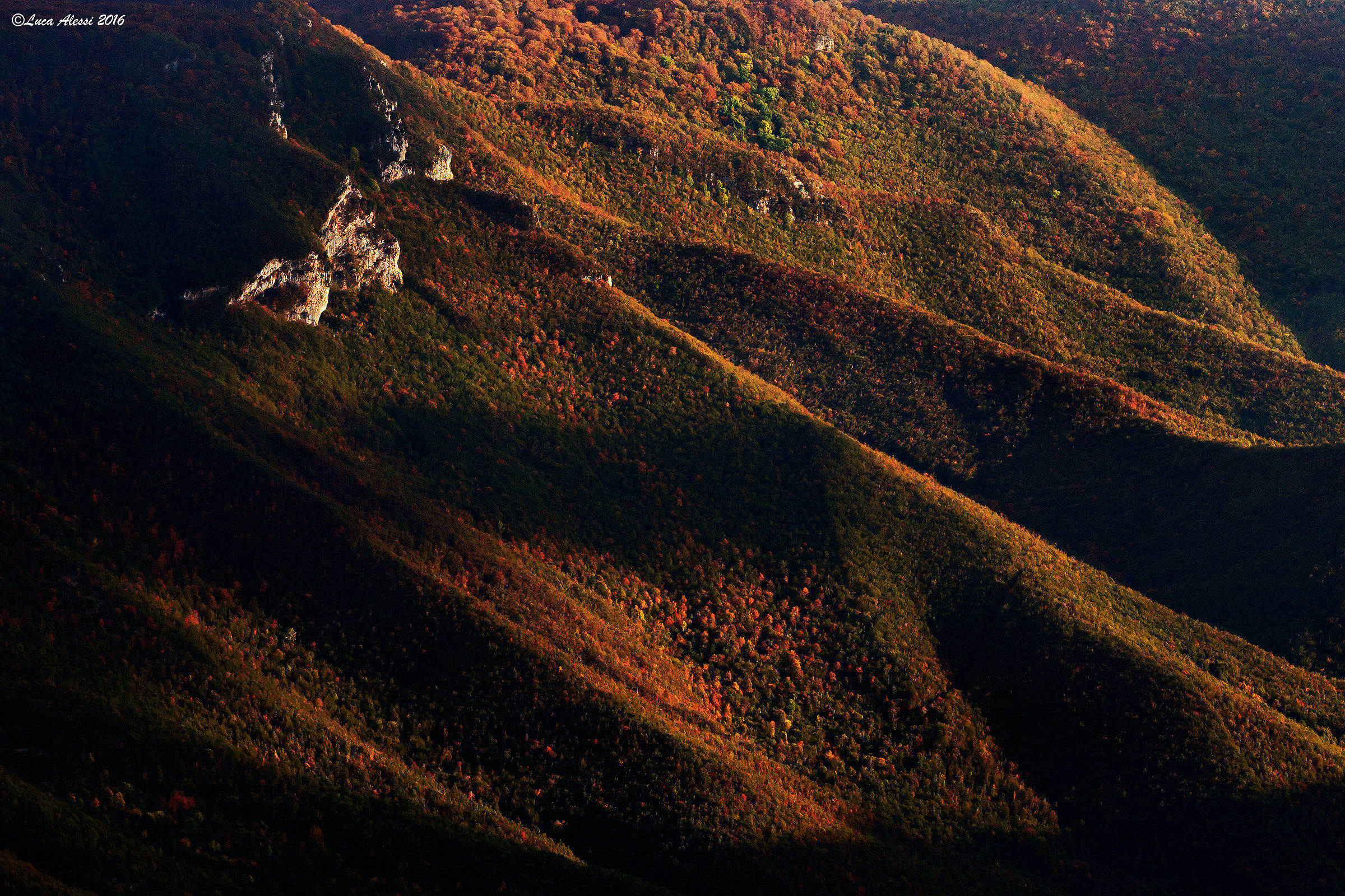 light and shadow colors