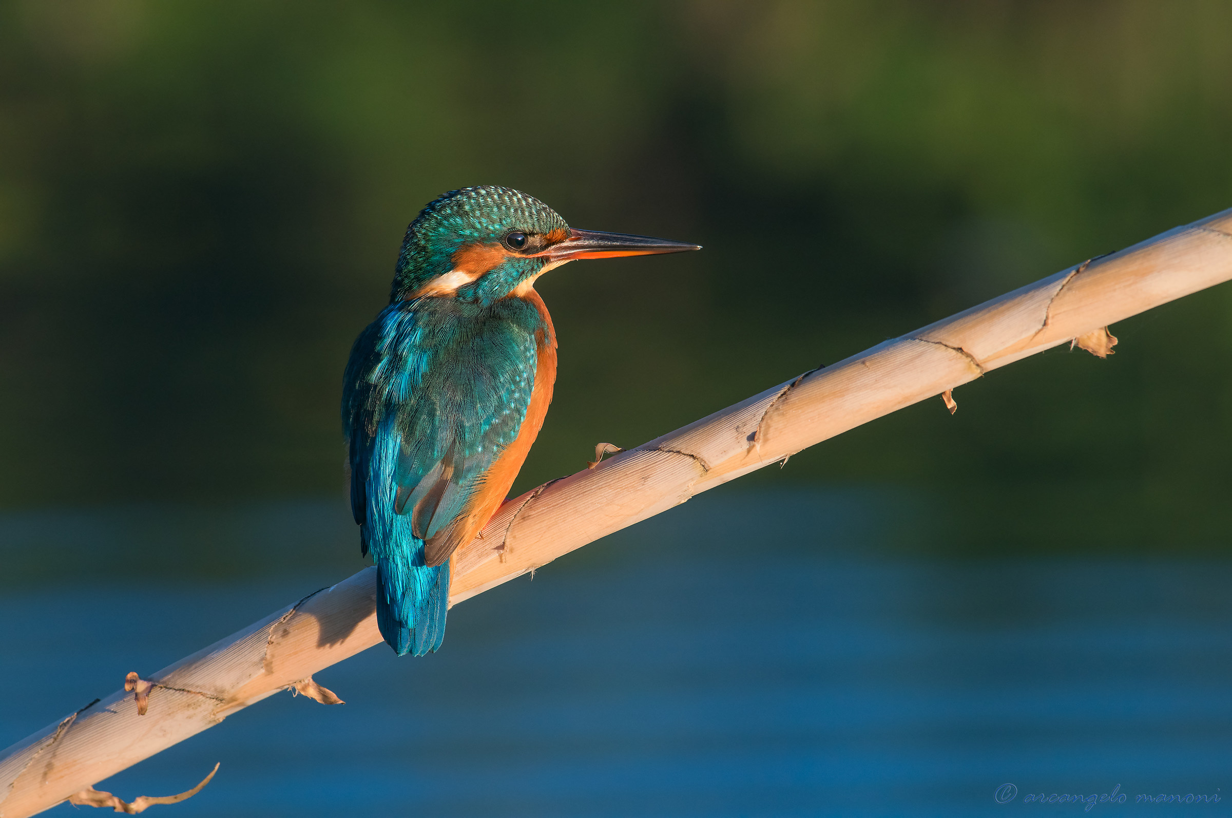sulle dolci movenze del fiume...