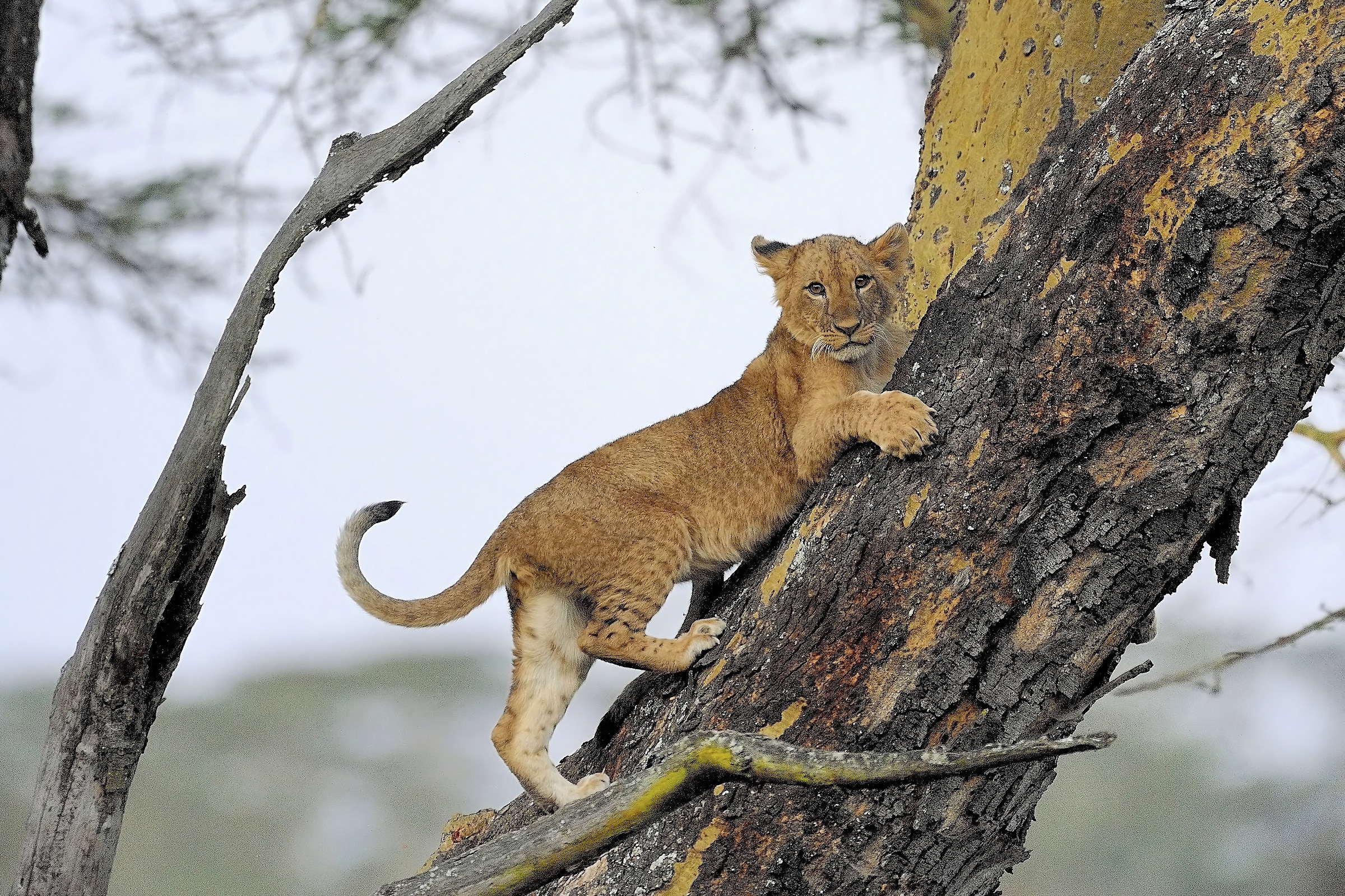 And now as you get off ?!