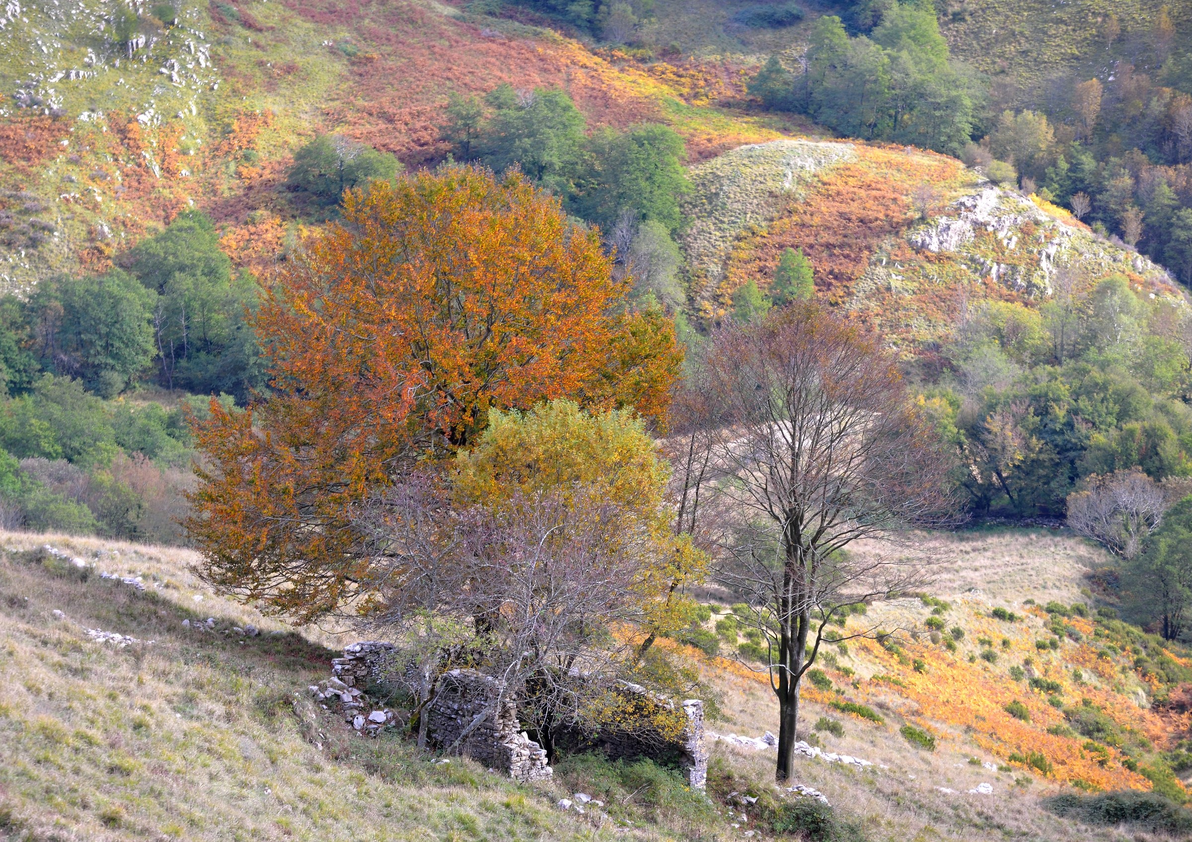 Apuan Alps Autumn colors