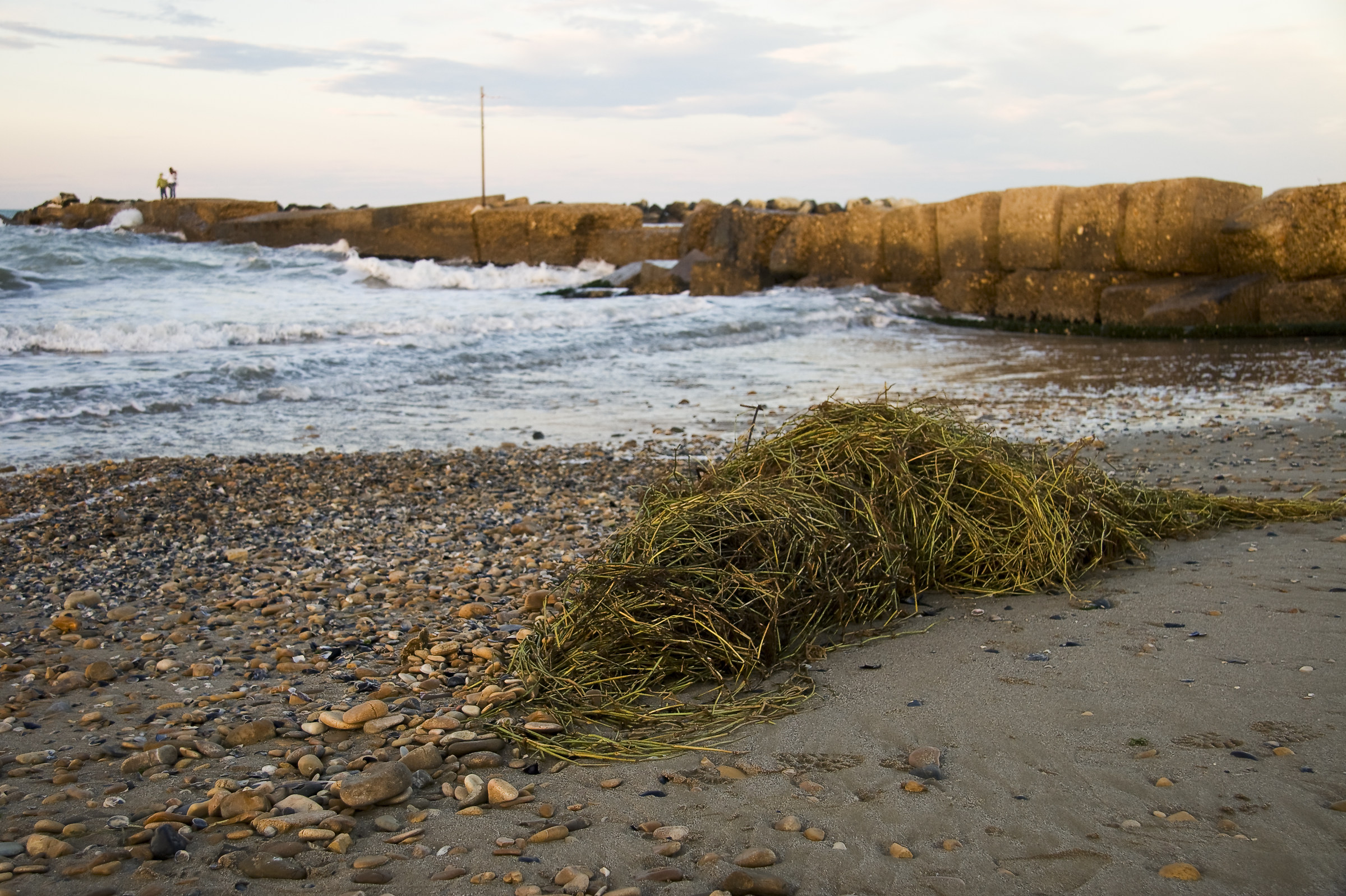 prospettiva diversa dal solito