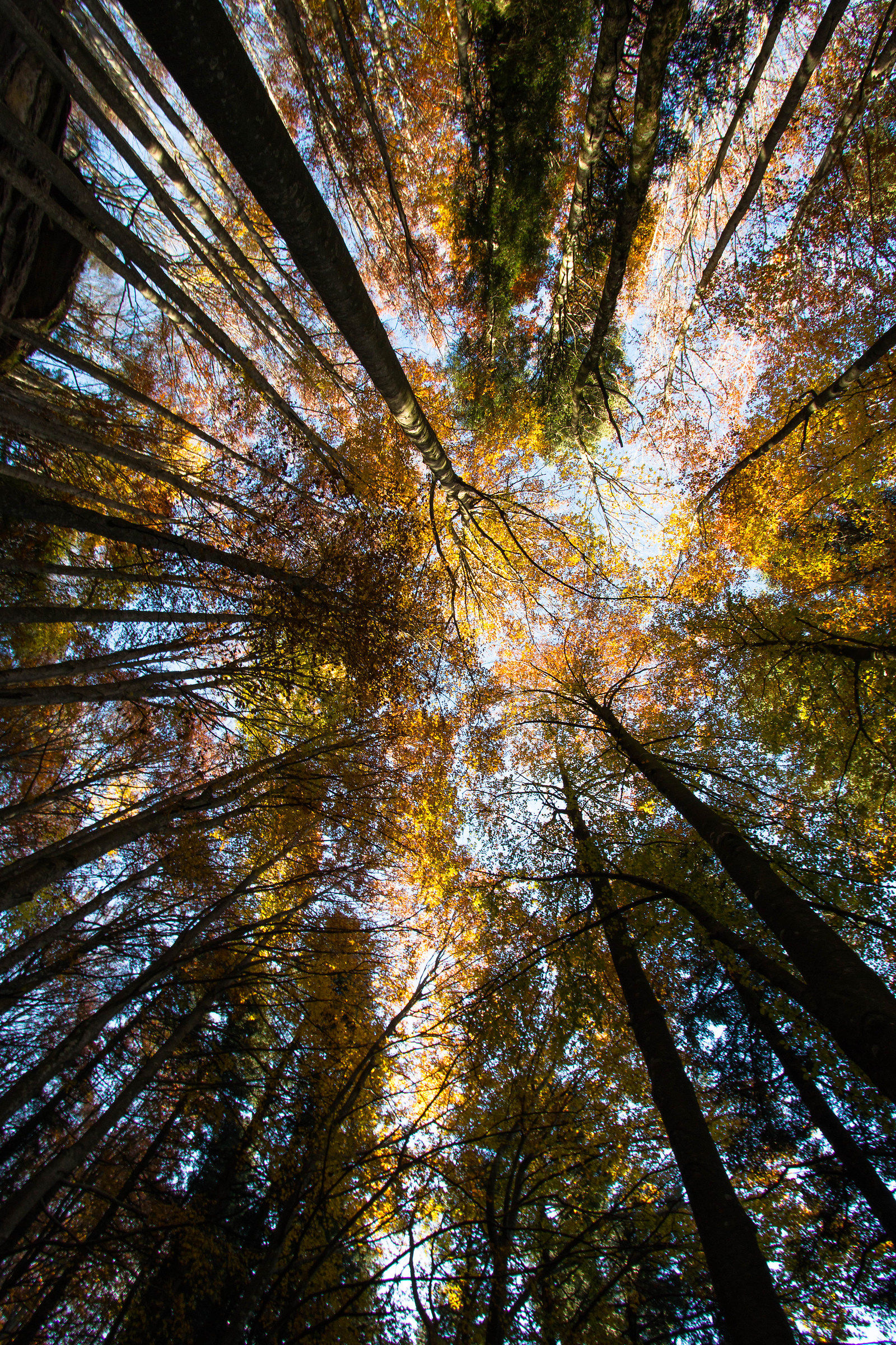 un nuovo punto di vista