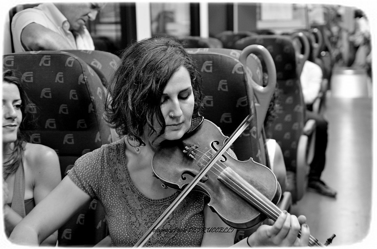 singing traveling tarantula Gargano hornbeam folk fest