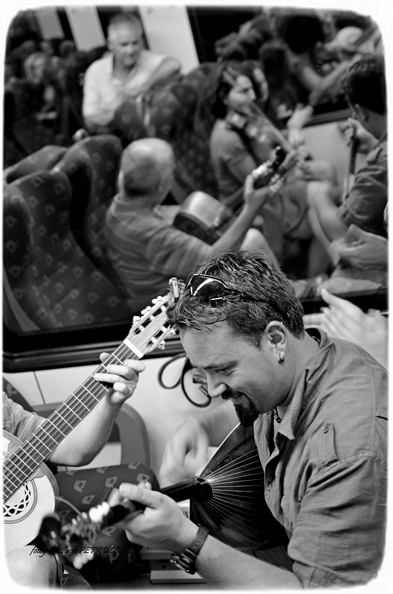 singing traveling tarantula Gargano hornbeam folk fest