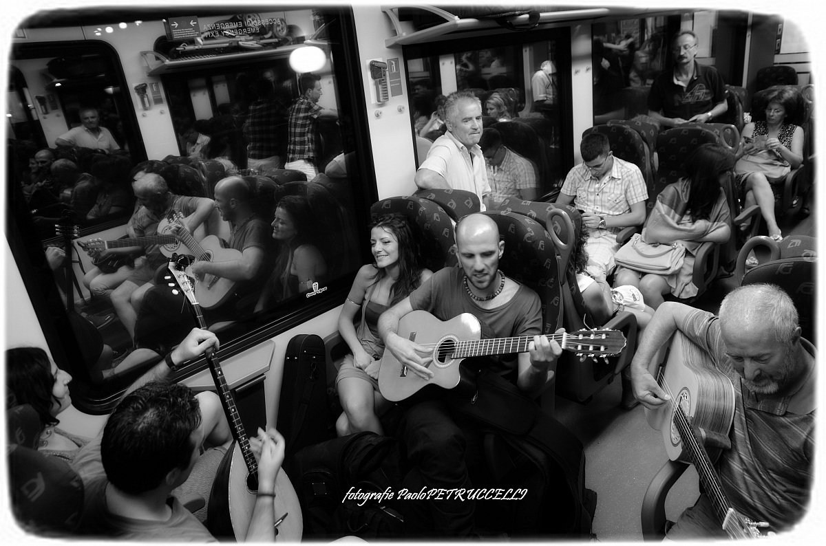singing traveling tarantula Gargano hornbeam folk fest