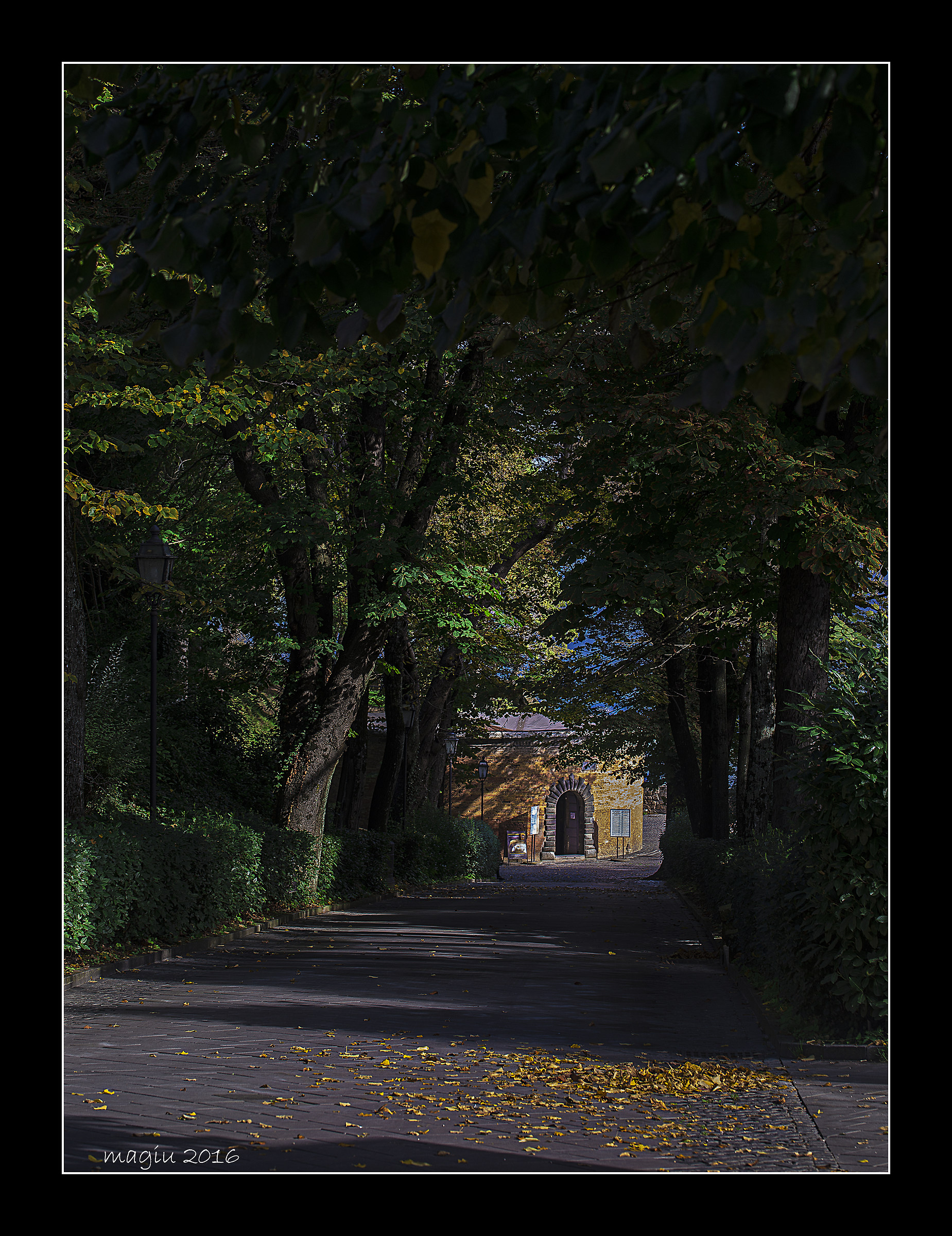 Orvieto, il Pozzo di San Patrizio