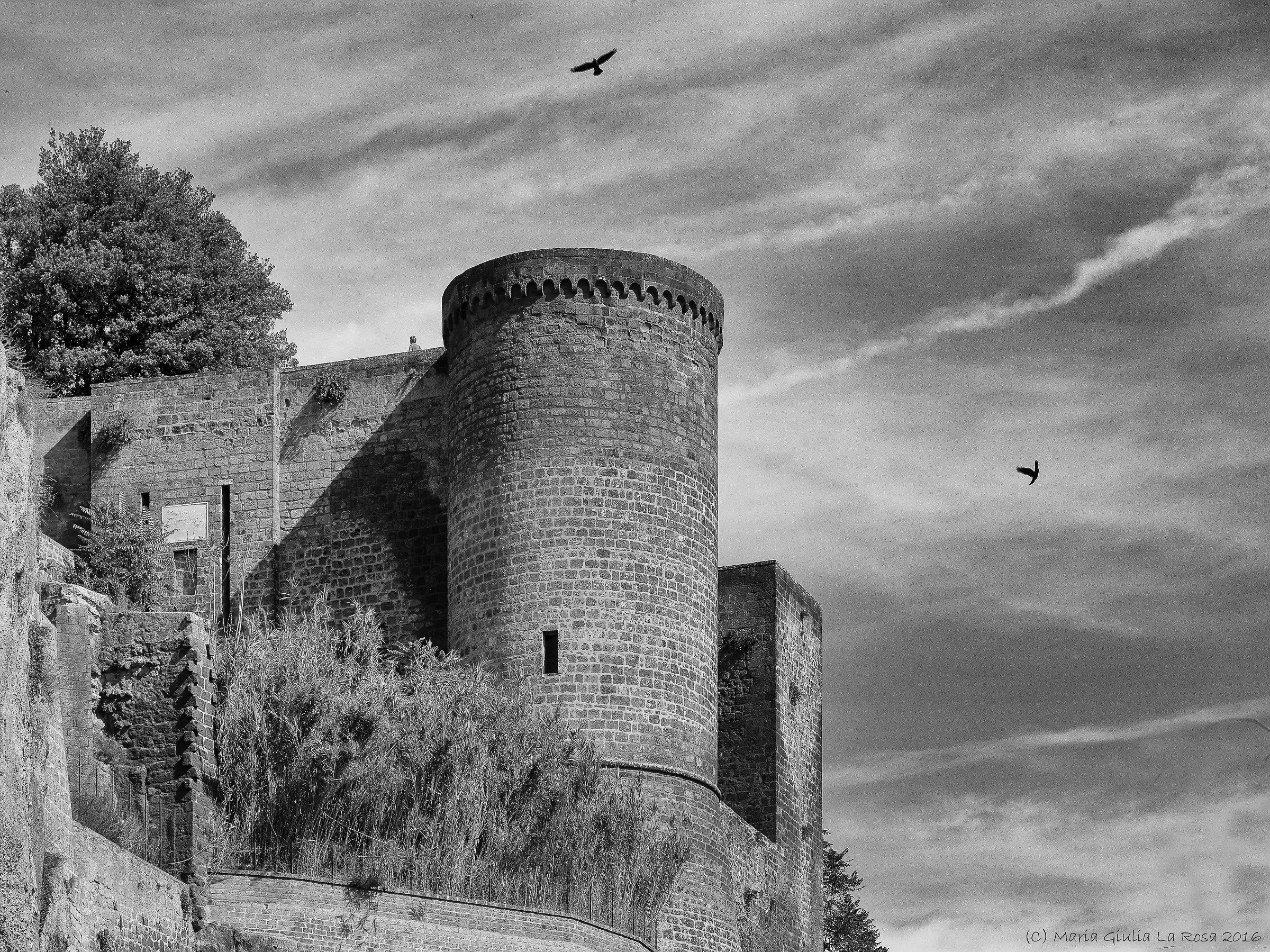 Dove osano le aquile