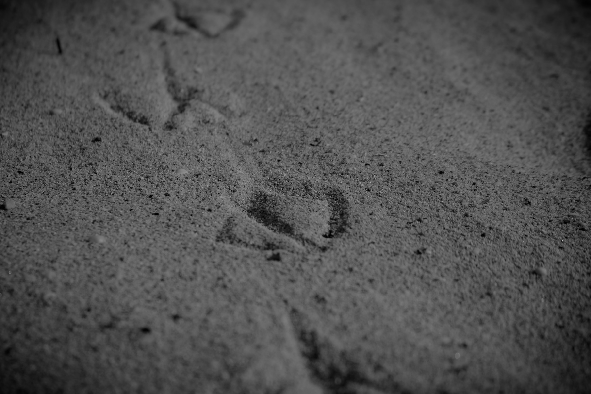 The past is already present