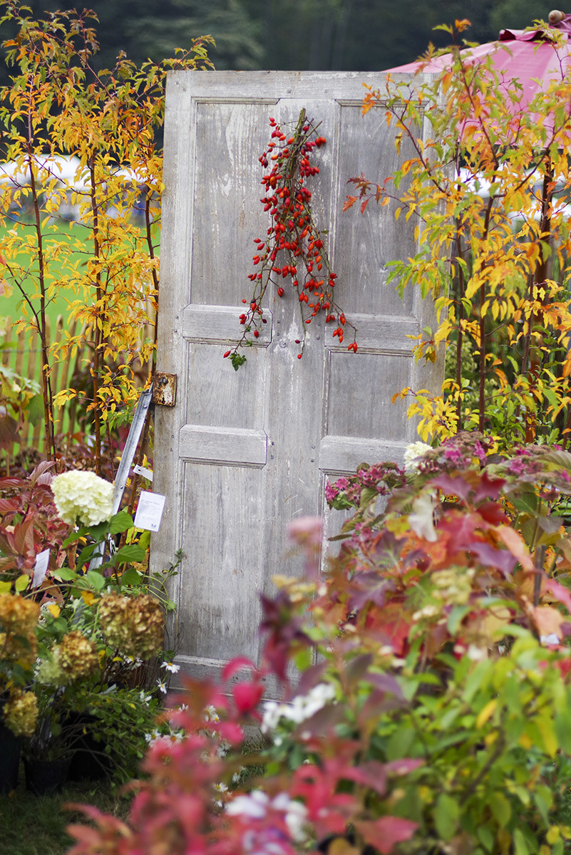 La porta sull'Estate