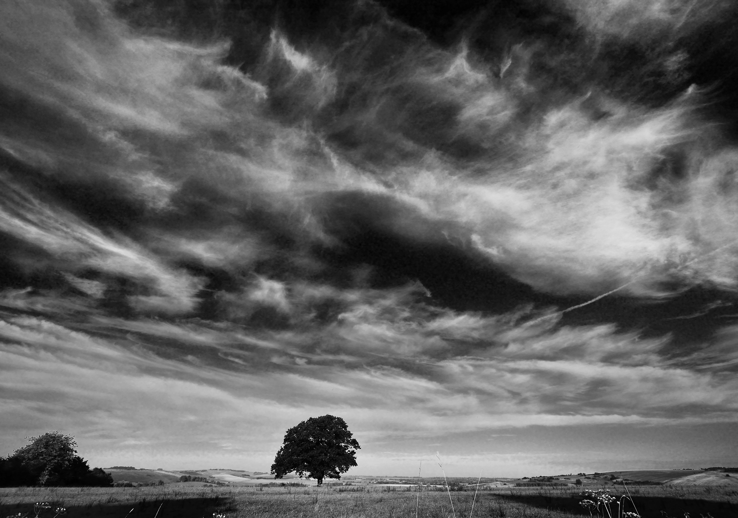 High Up on the Ridgeway - 2