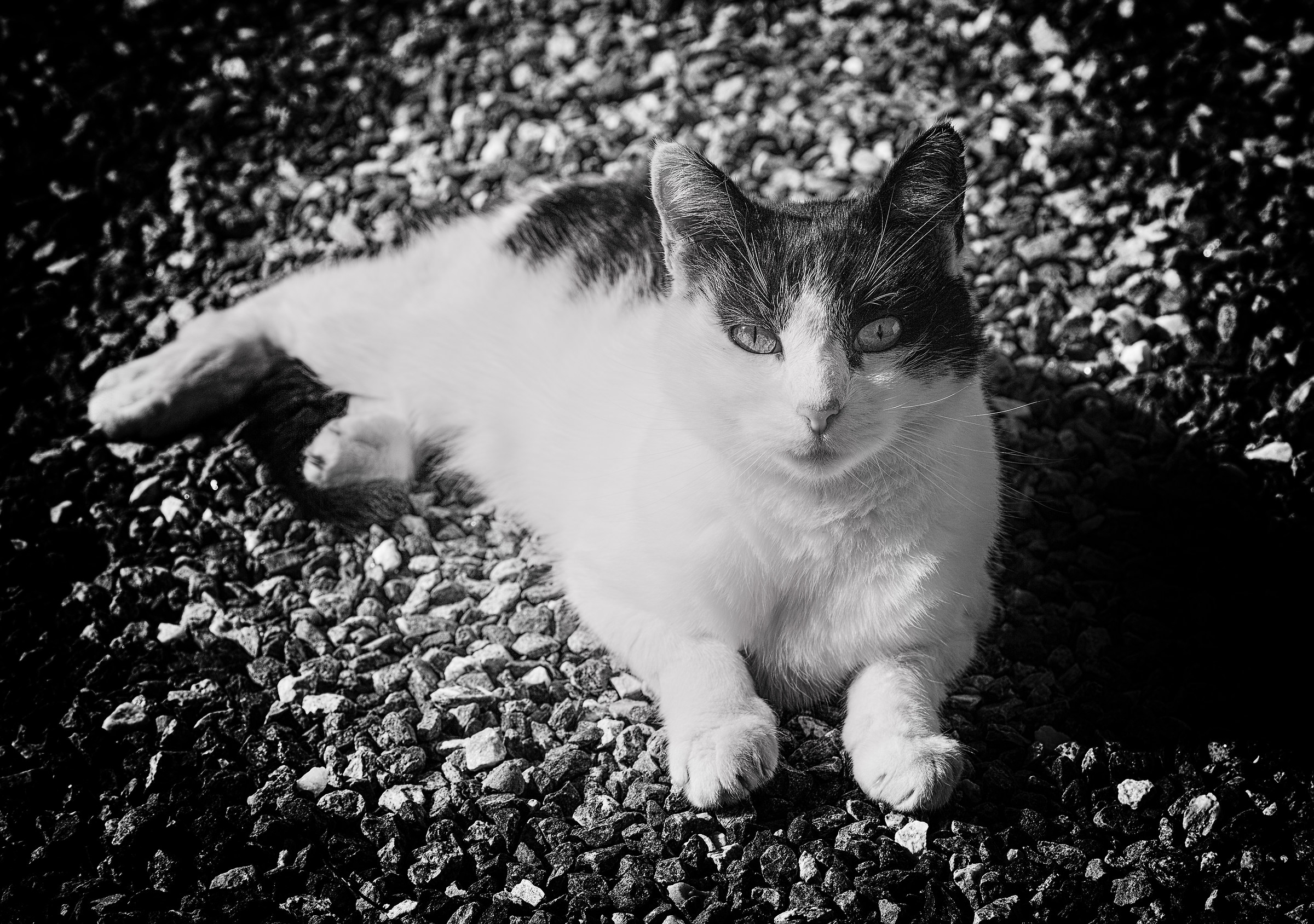 Once upon a time Tinkie